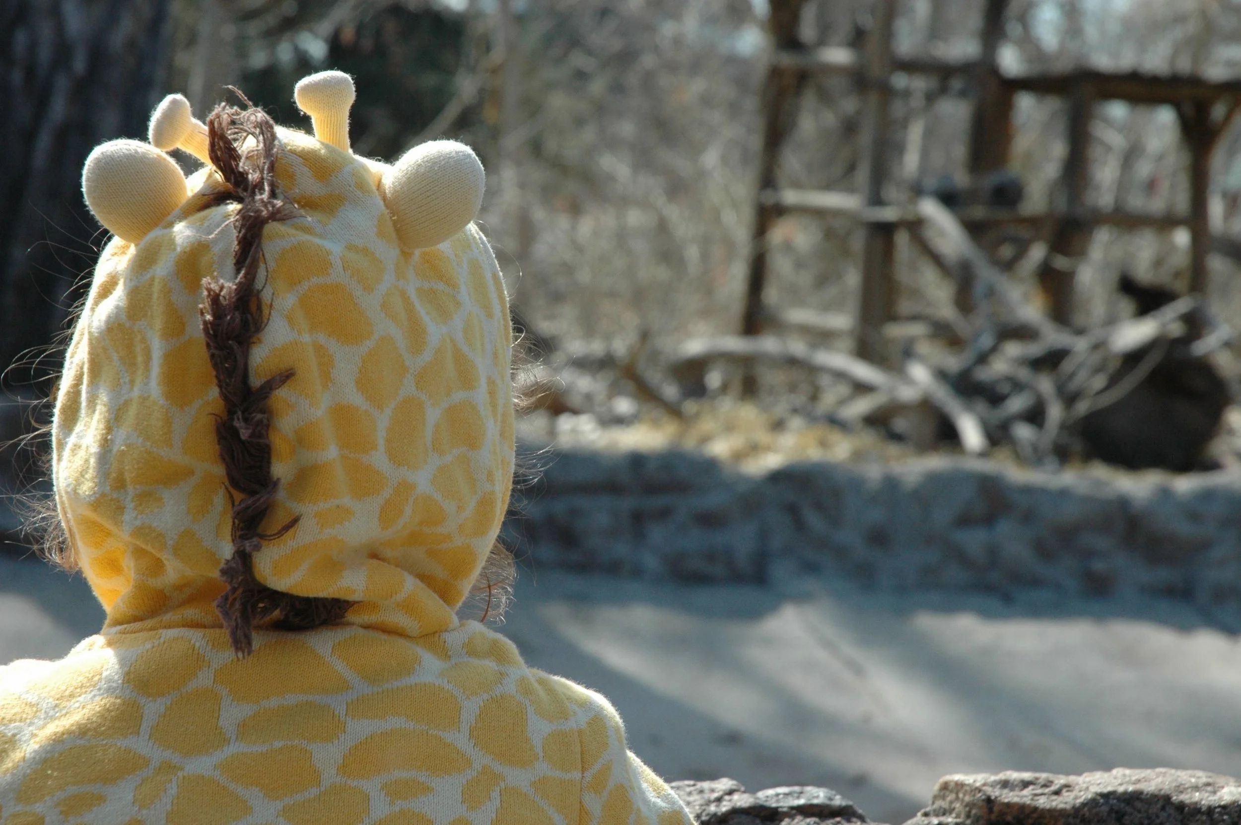 Mini Adventure: Denver Zoo