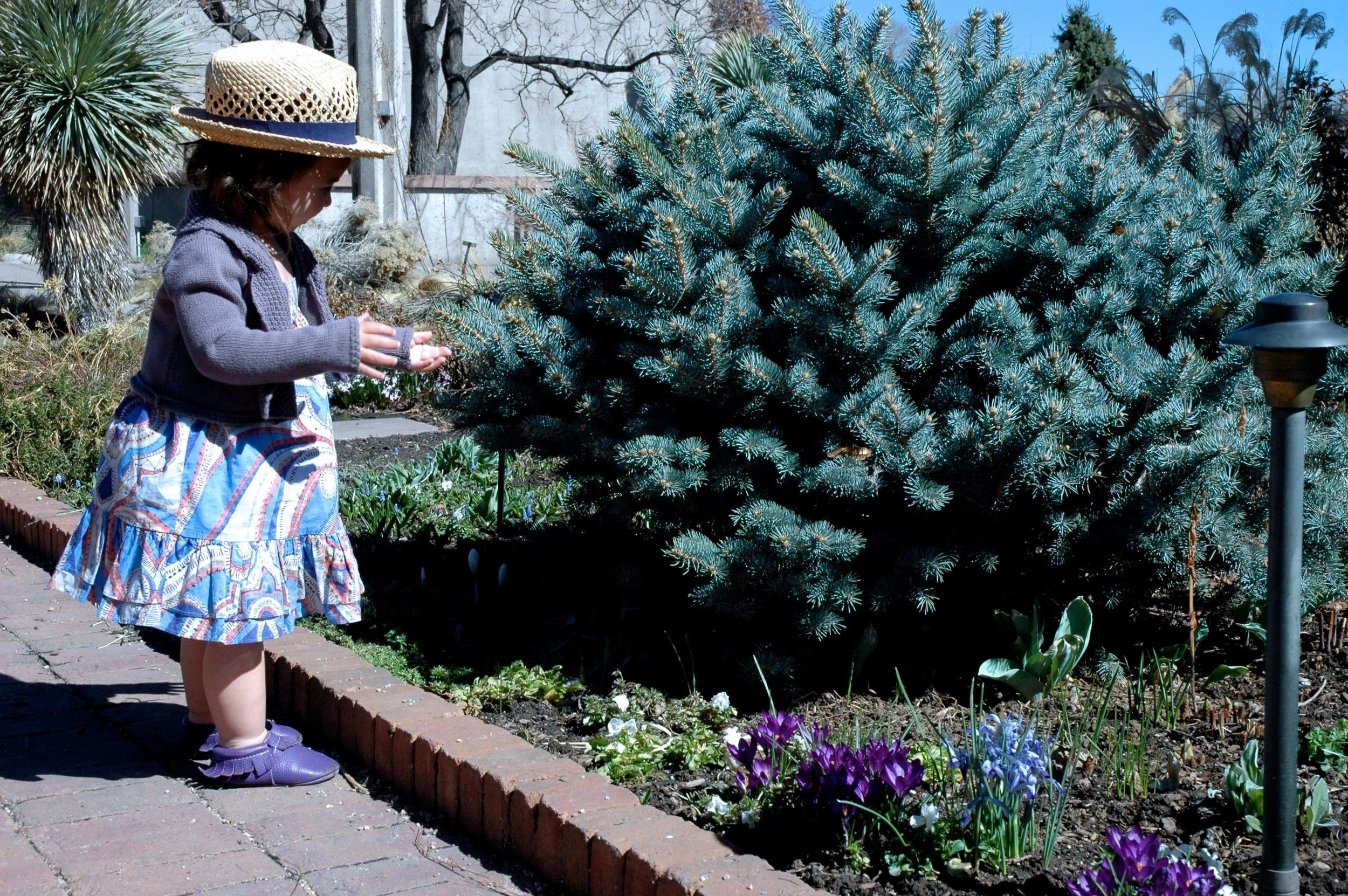 Mini Adventure: Denver Botanic Gardens