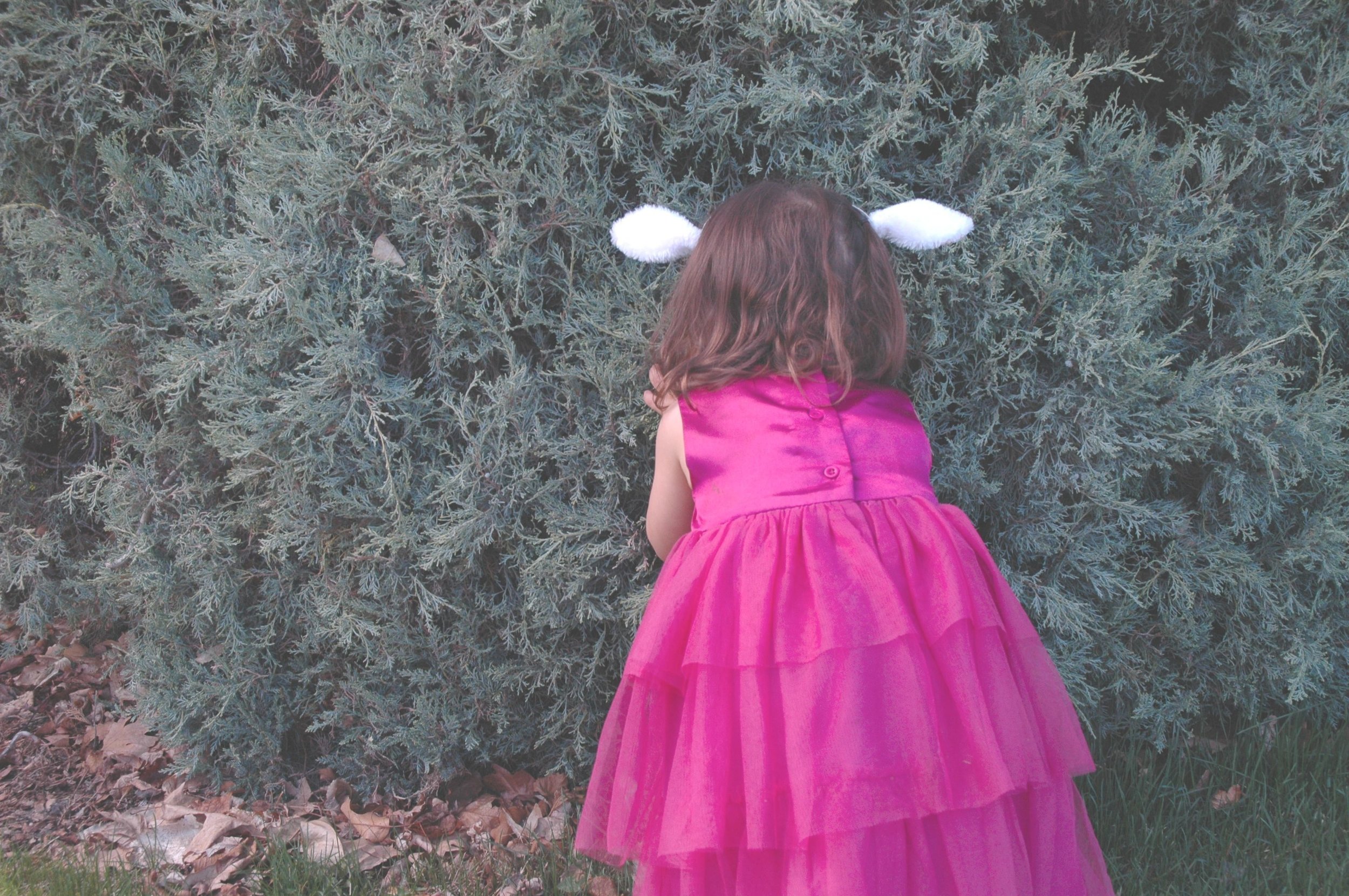 Hippity Hop: Easter Weekend