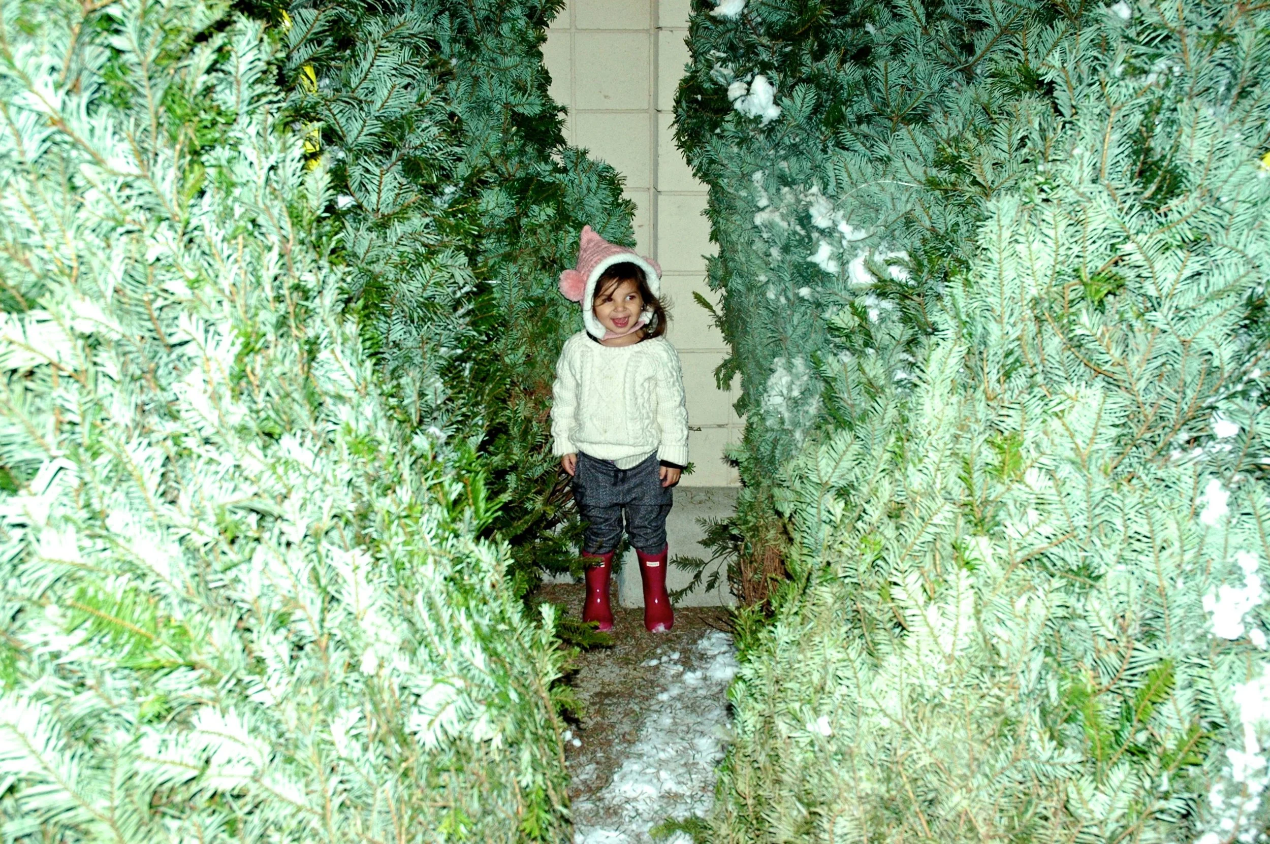 O Christmas Tree! O Christmas Tree!