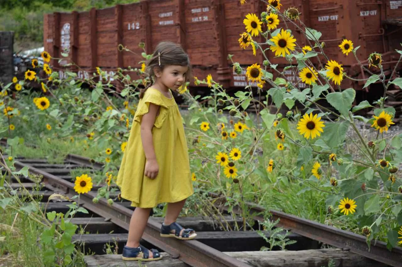 Colorado Railroad Museum
