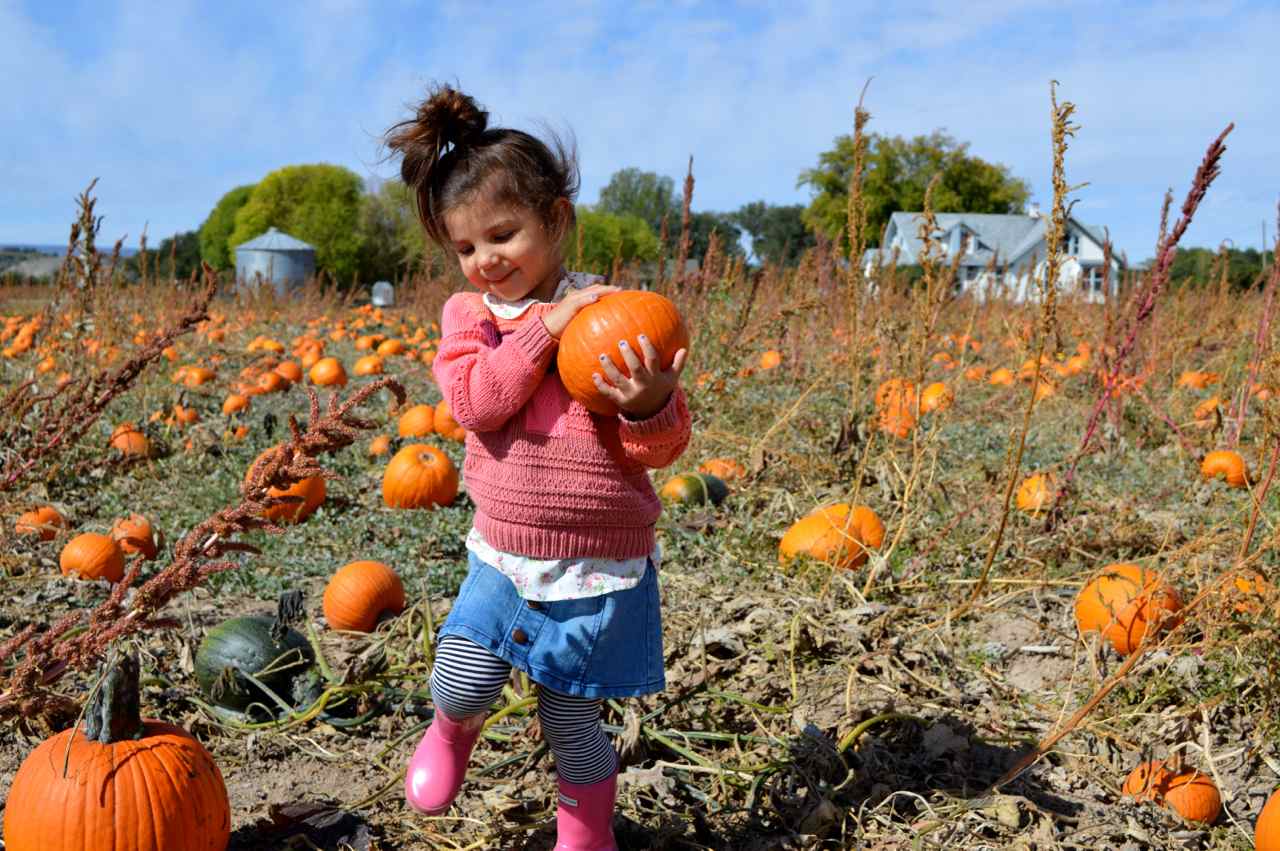 Pumpkin Picking with Pa