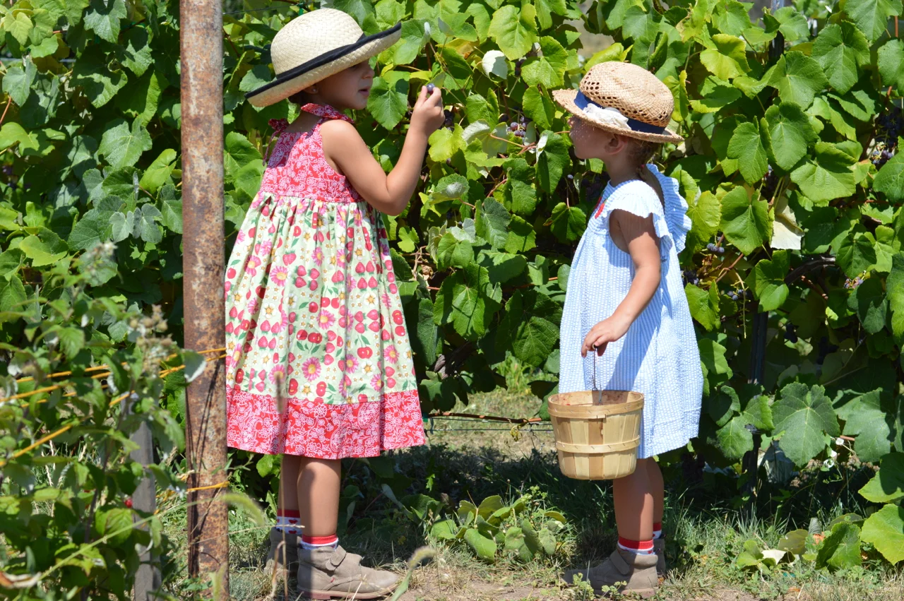 An Afternoon at Delicious Orchards