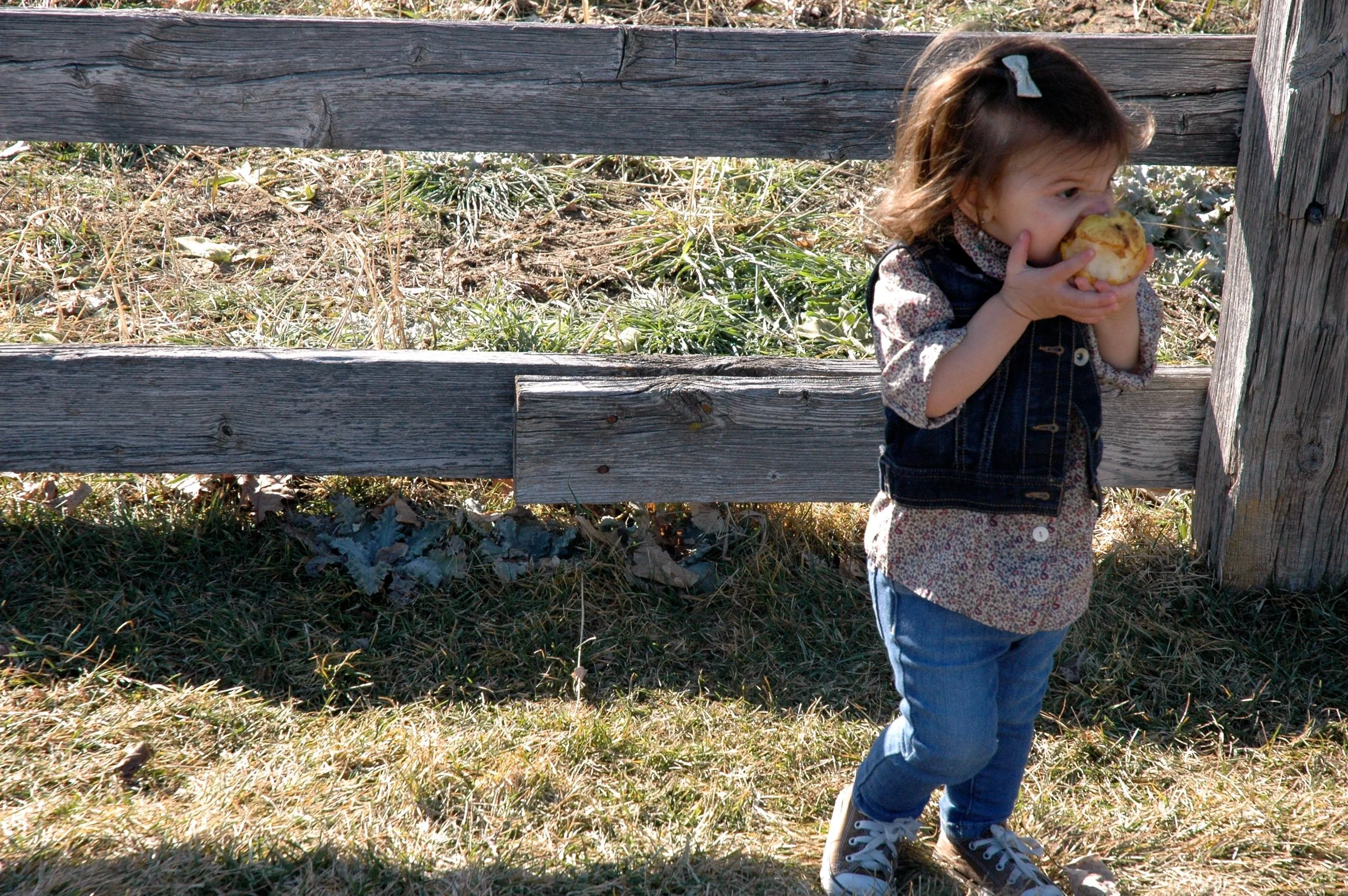 fence-bite-pear.jpg