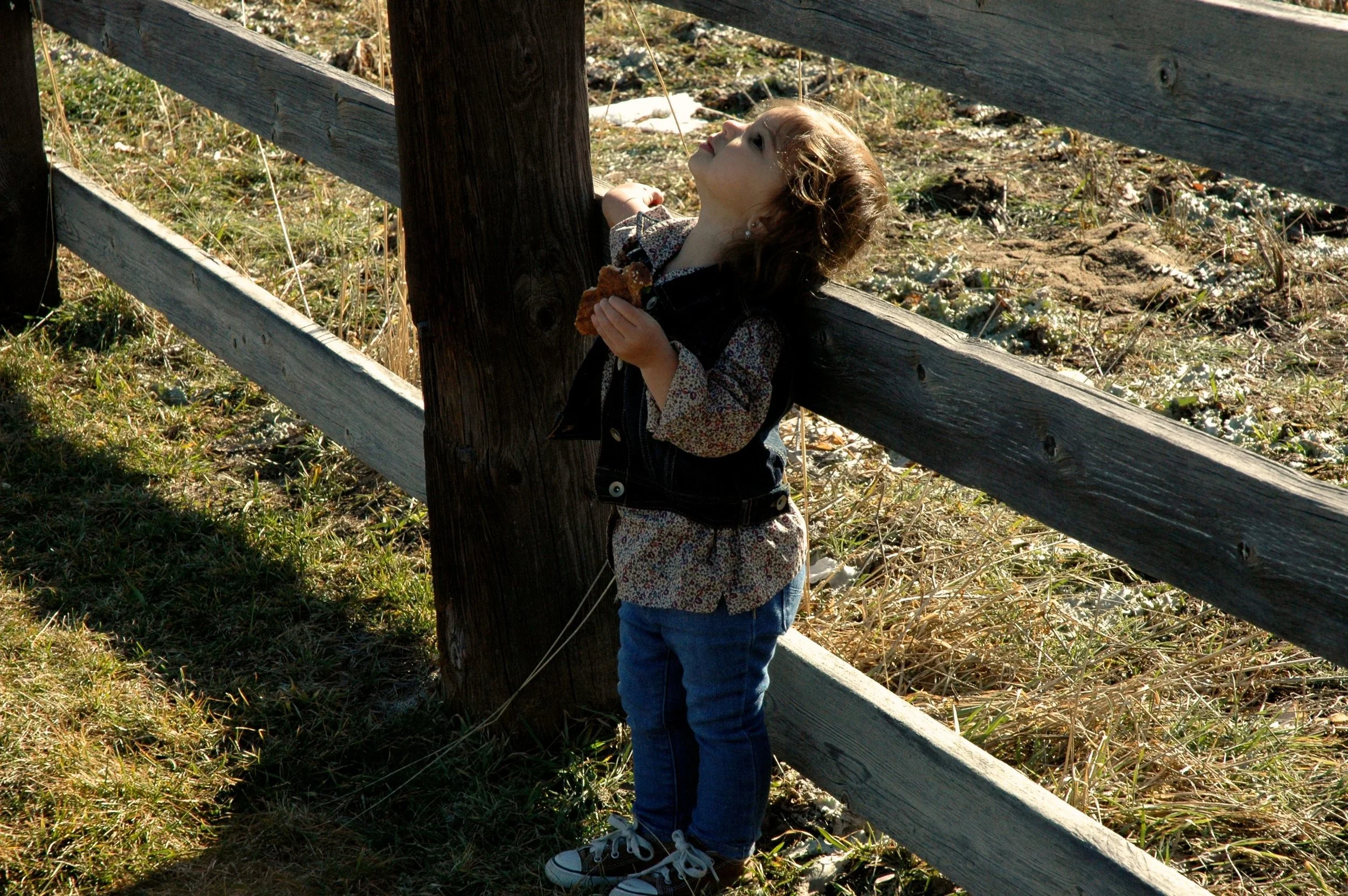 fence-sun-on-face.jpg
