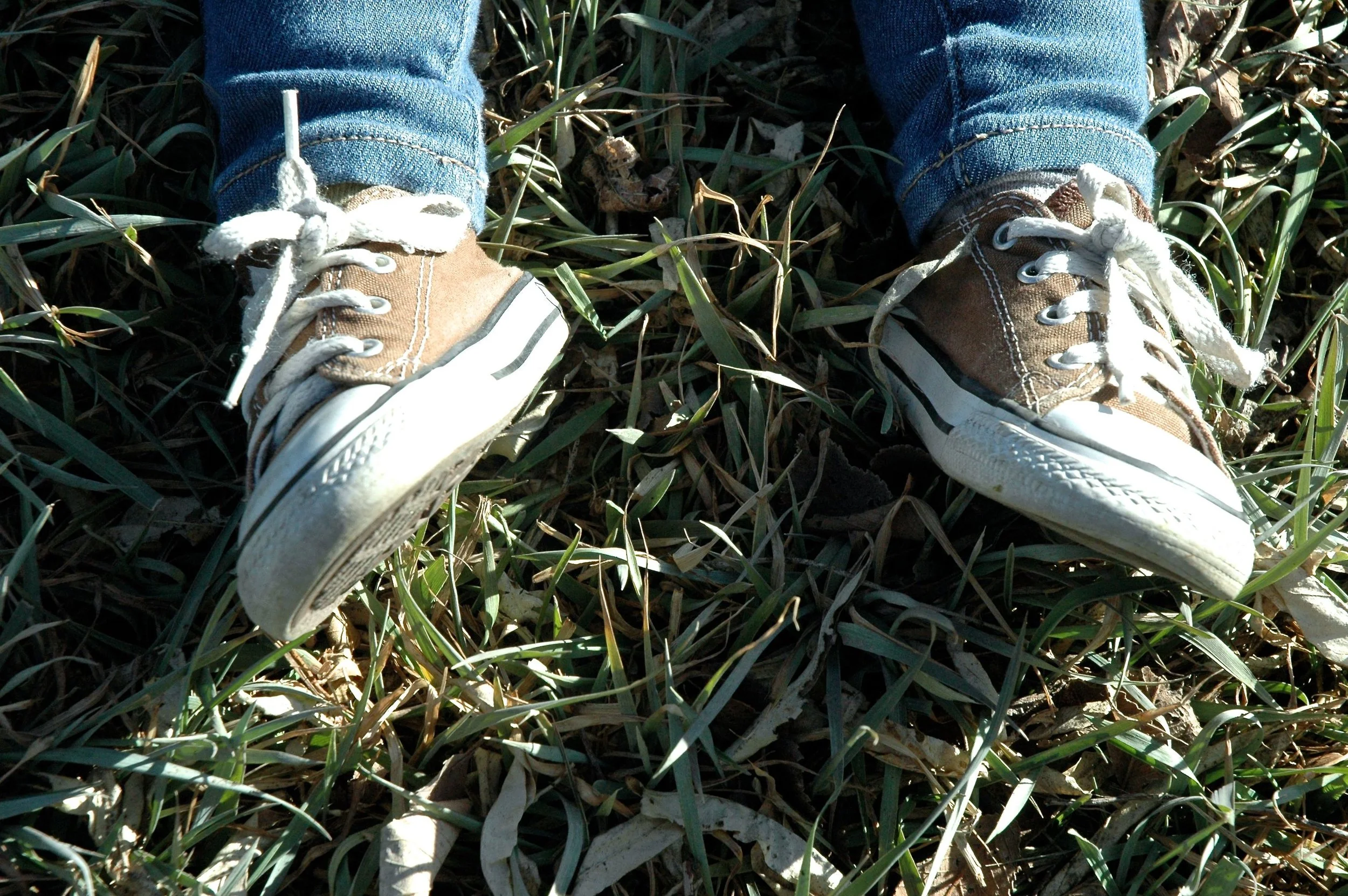 converse-in-grass.jpg