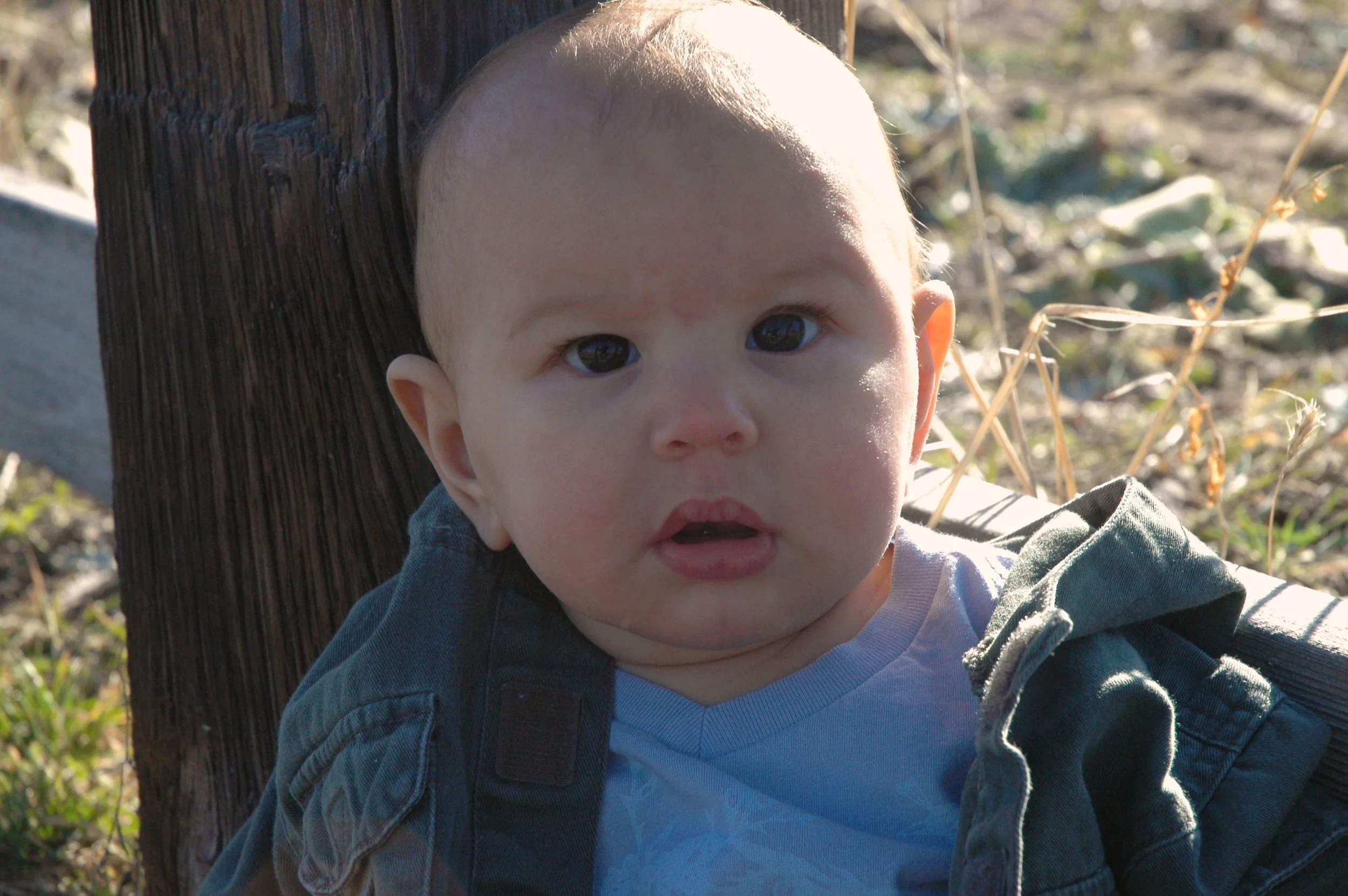 grass-baby-face.jpg