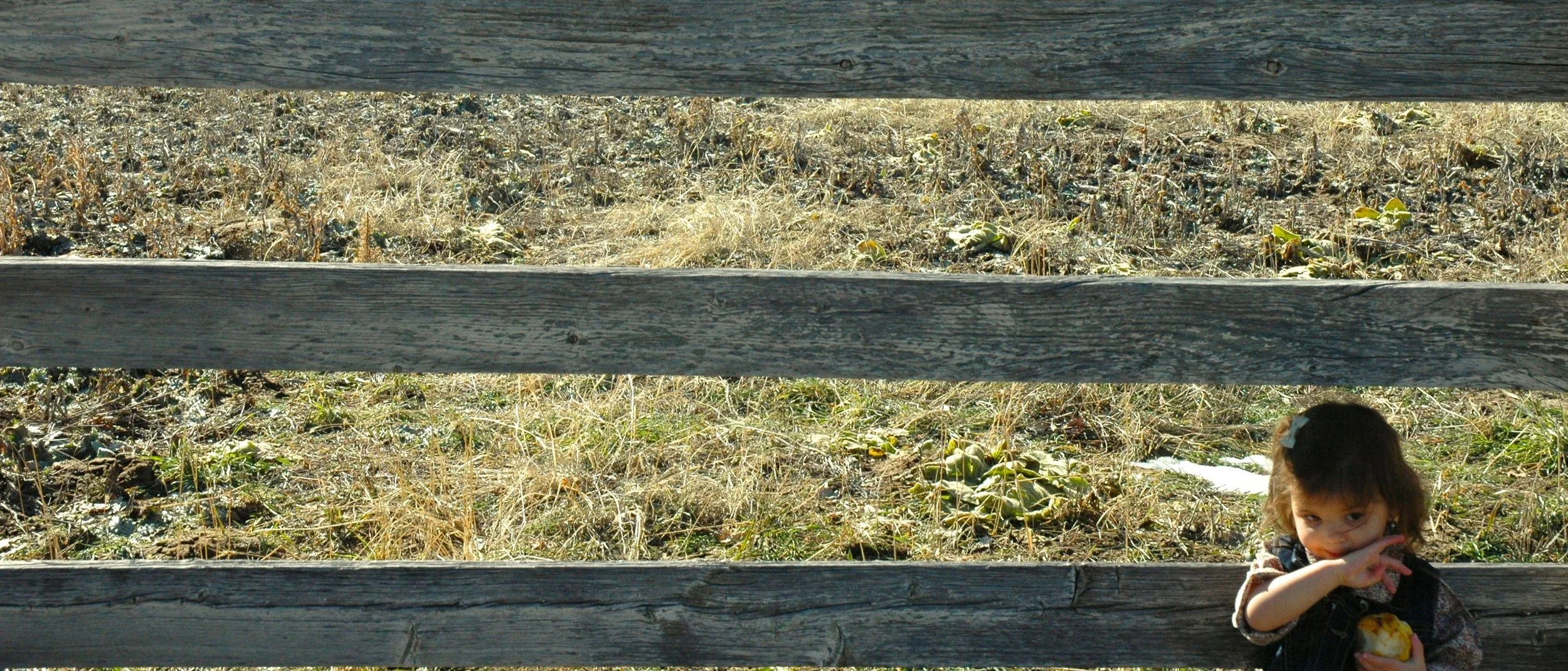 fence-wipe-pear-juice.jpg