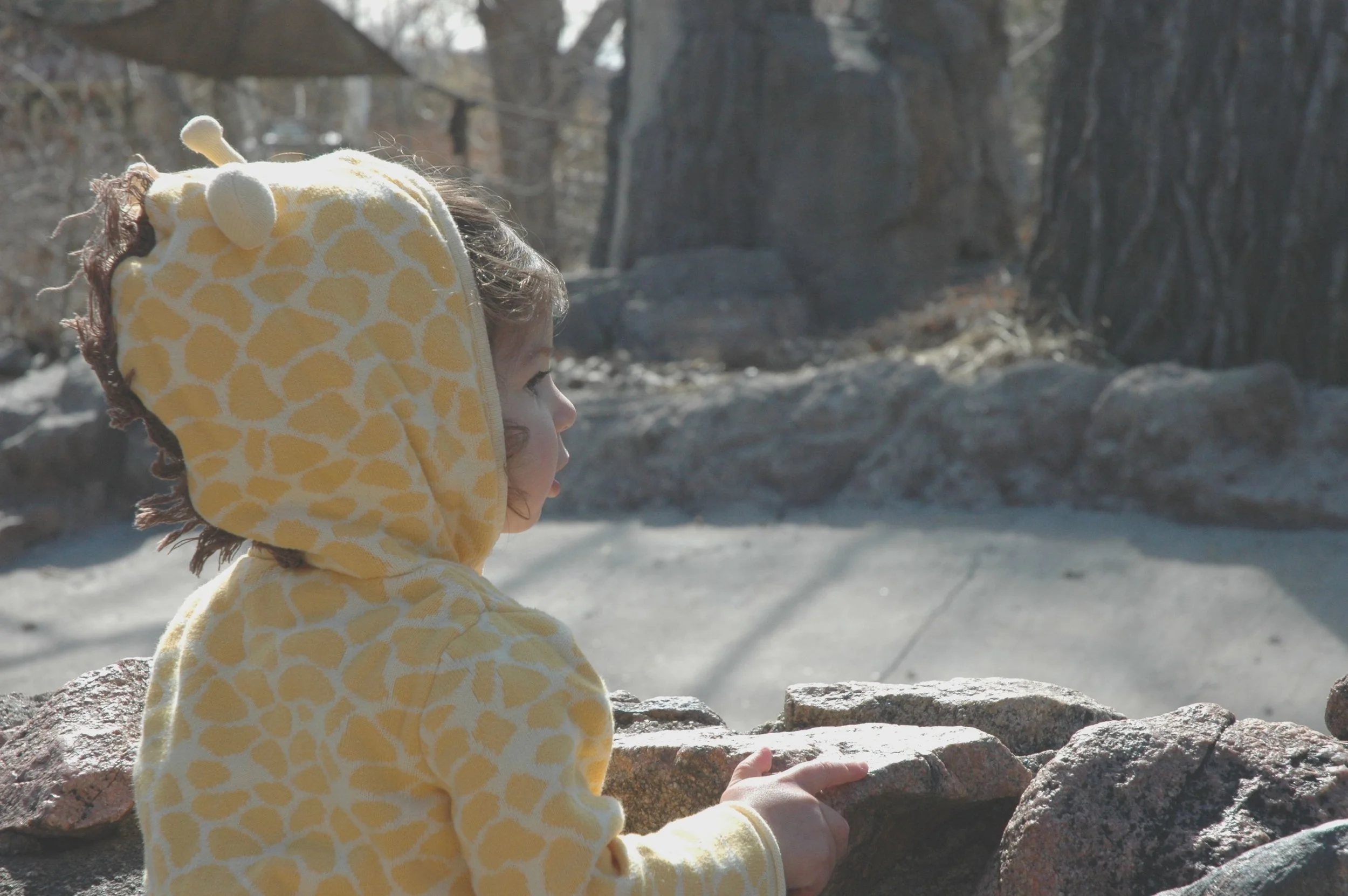 zoo-1.jpg