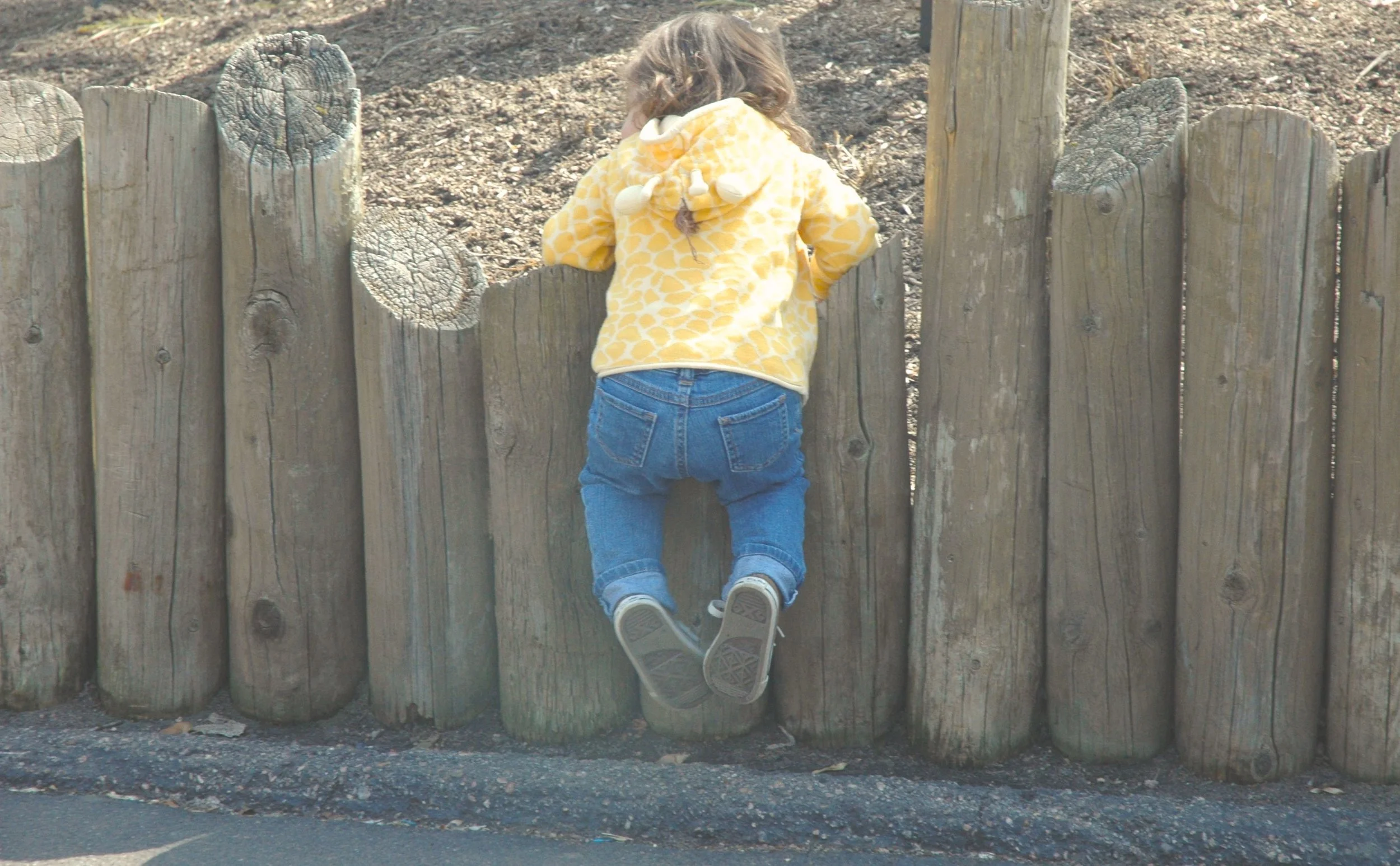 zoo-climb.jpg