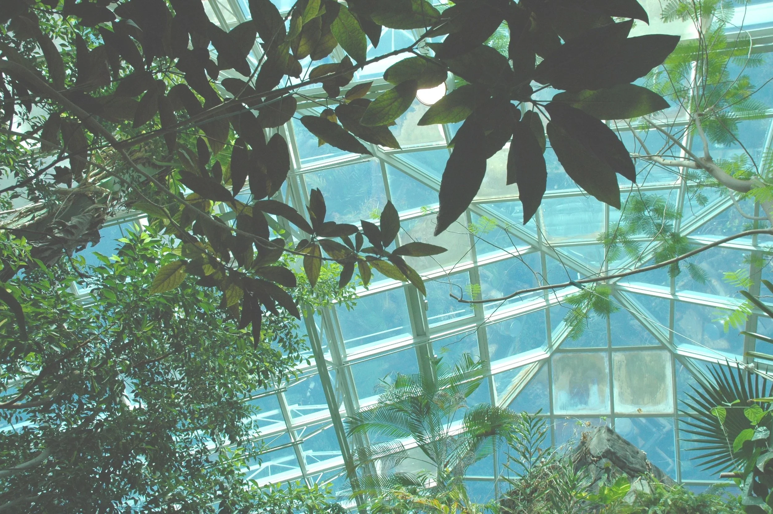 zoo-rainforest.jpg