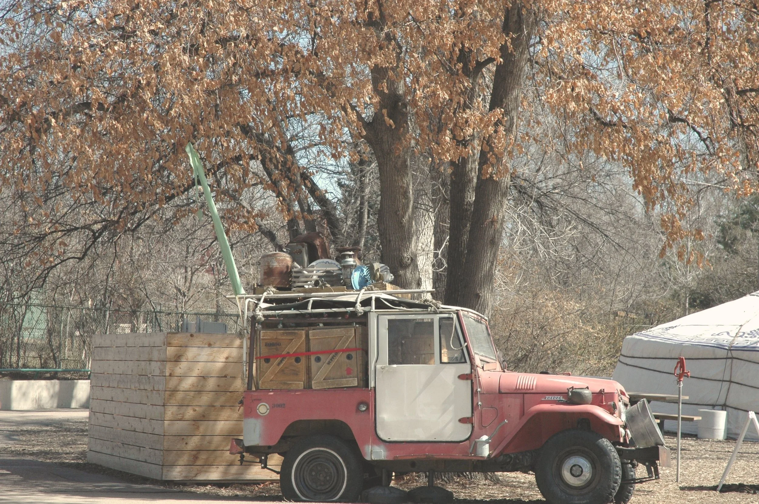 zoo-jeep-2.jpg