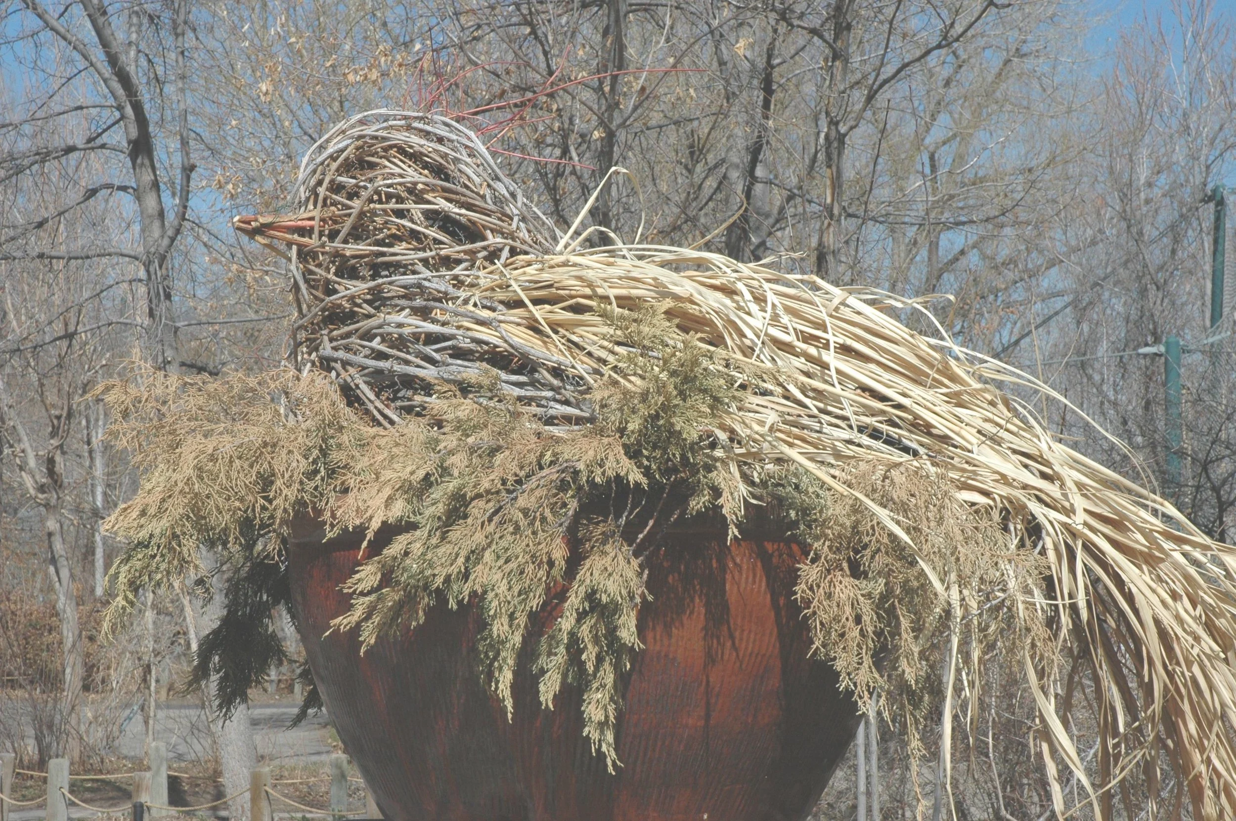 zoo-bird-2.jpg