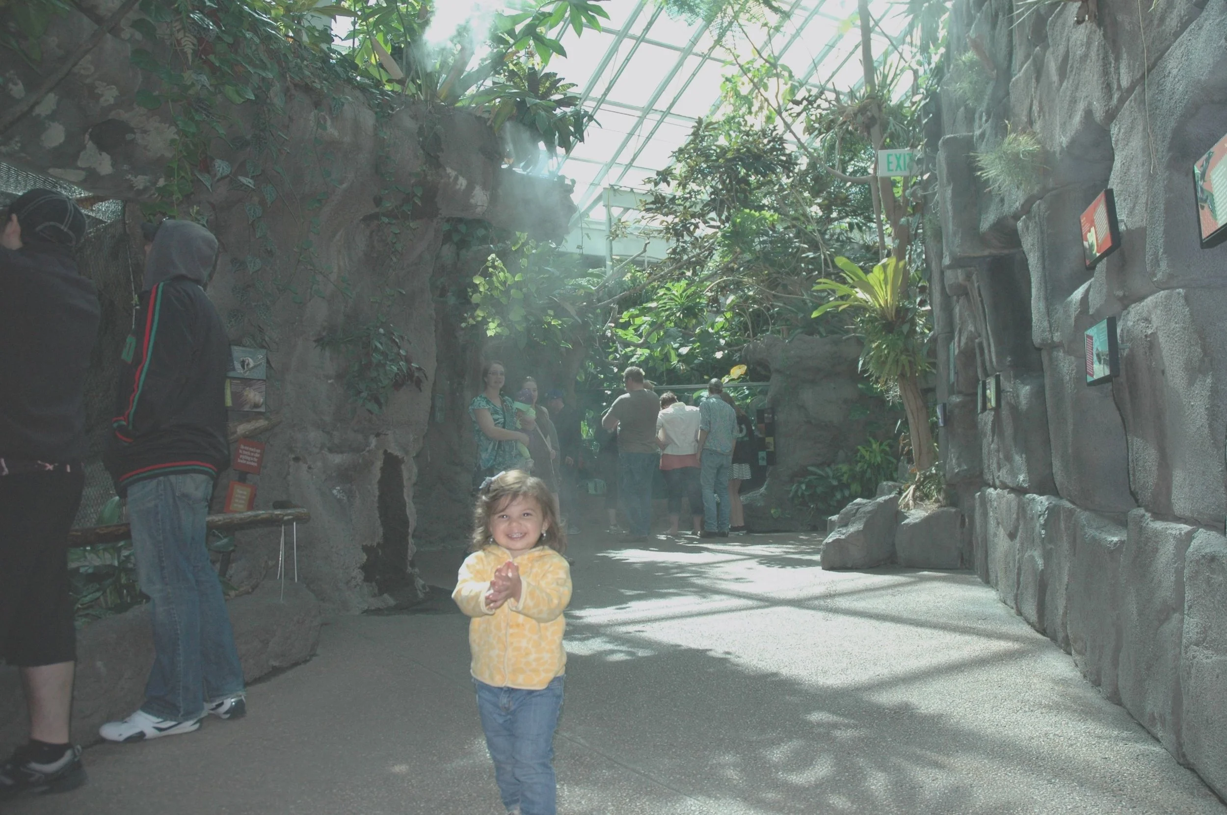 zoo-mist.jpg