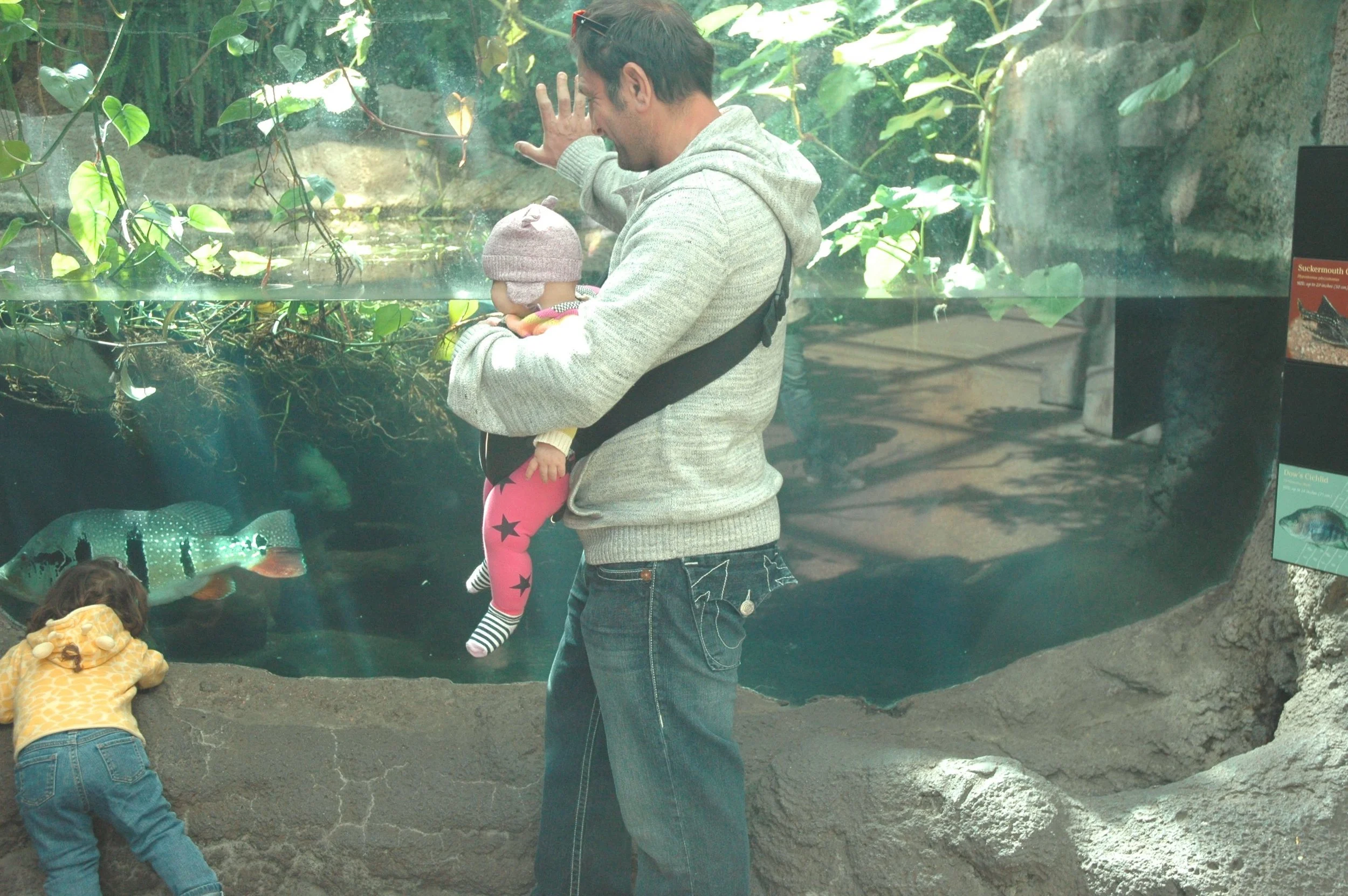 zoo-fish.jpg