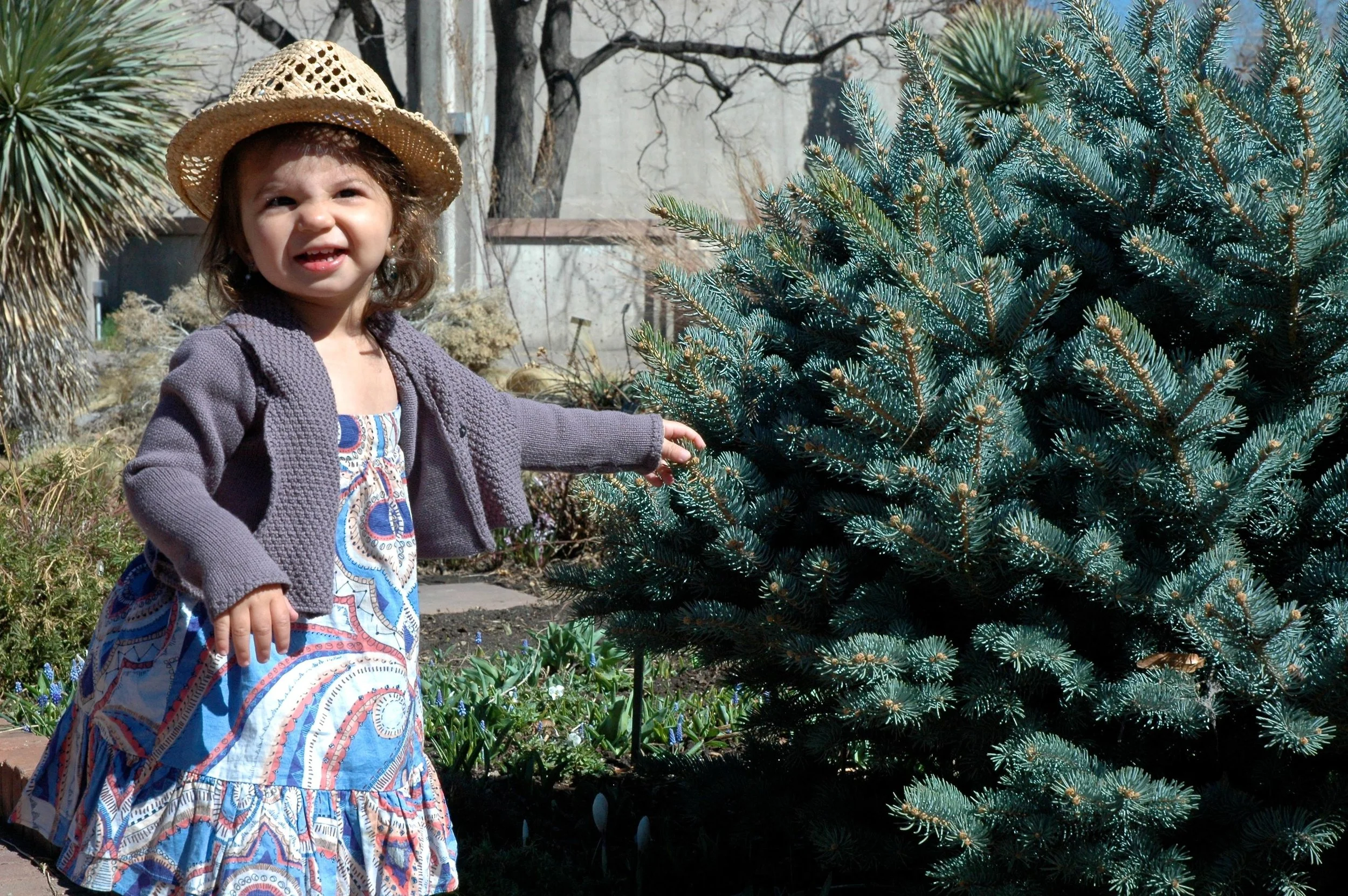 garden-remy-2.jpg