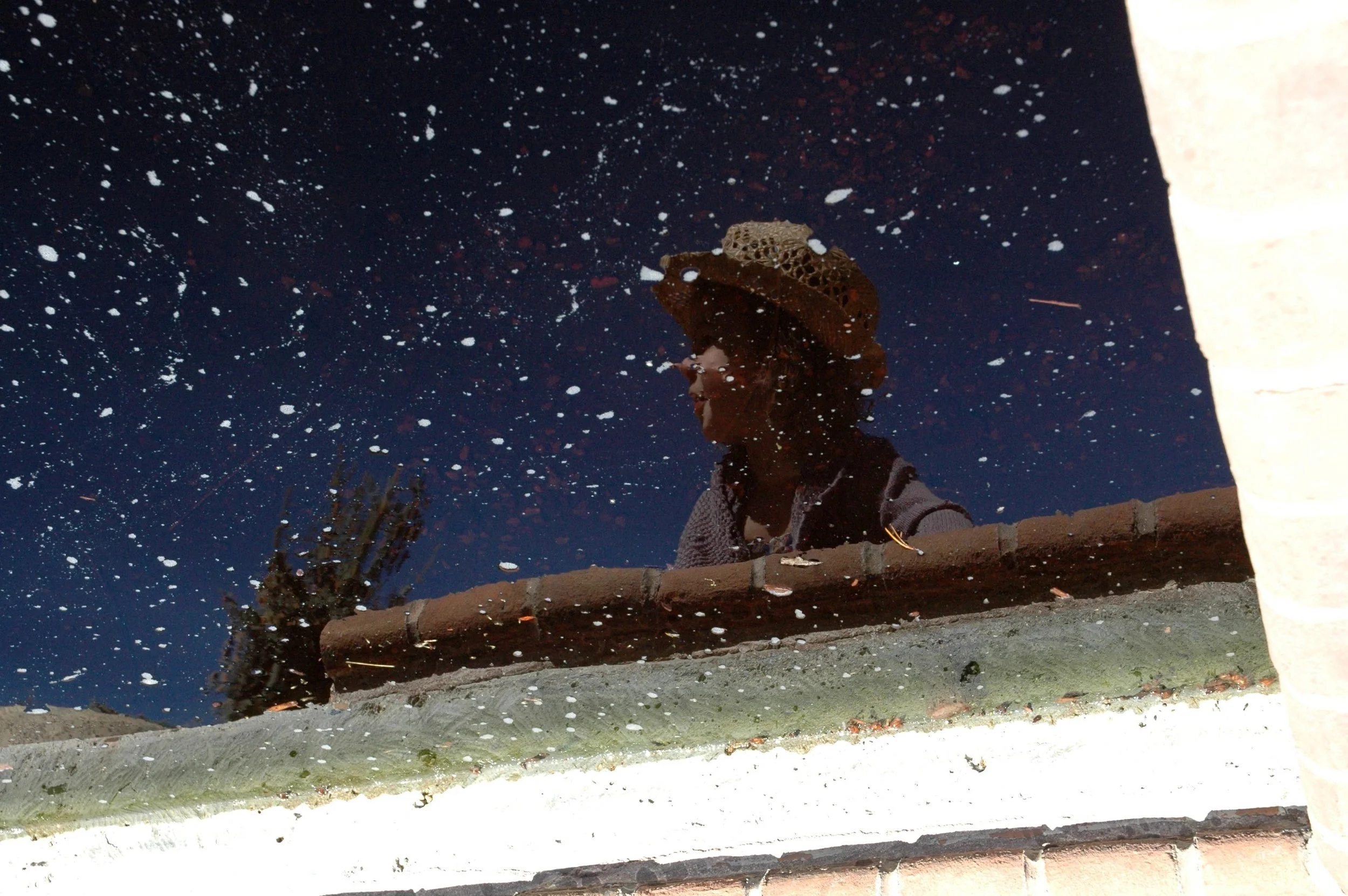 garden-remy-reflection.jpg