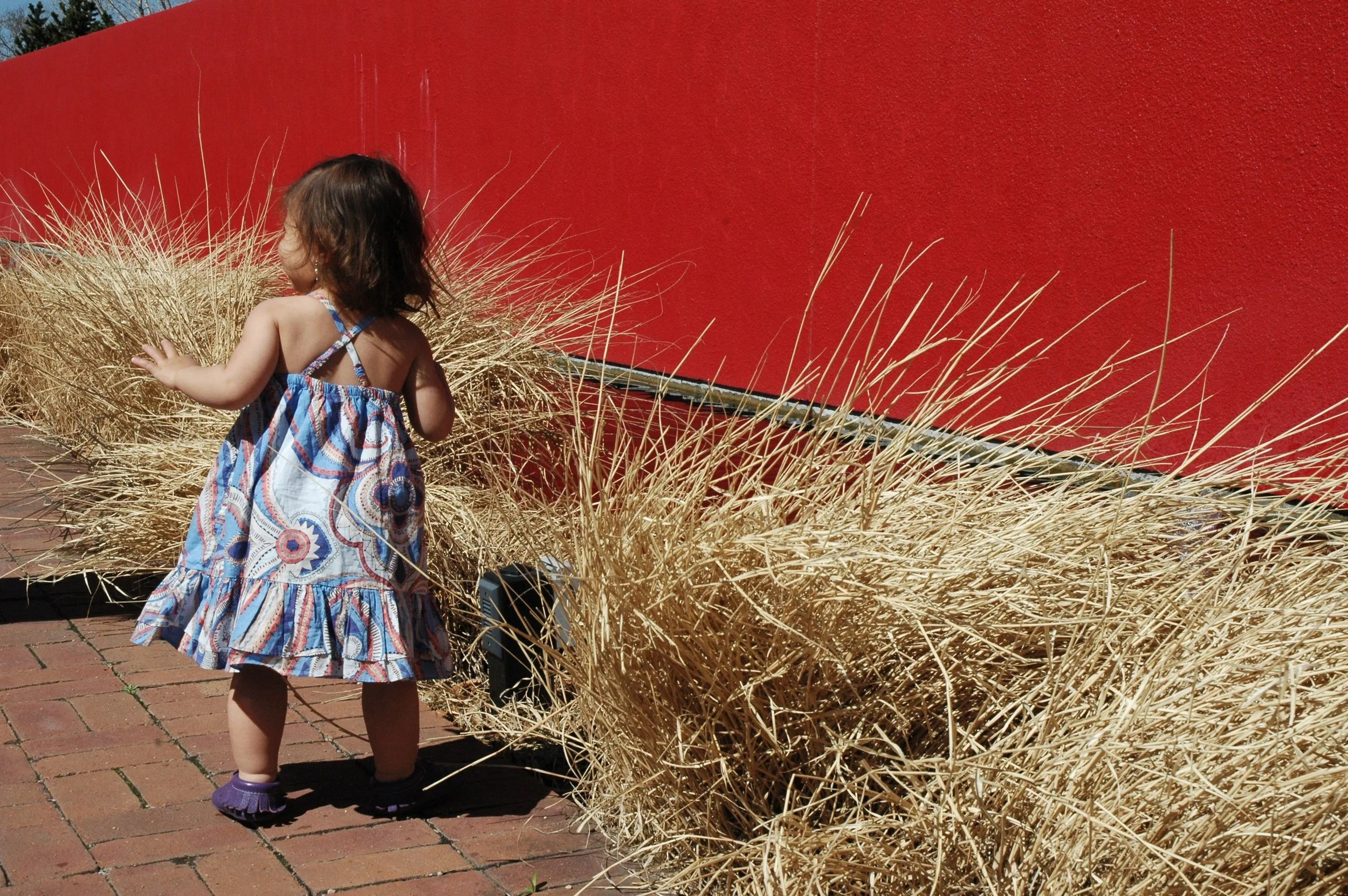 garden-remy-red-wall.jpg
