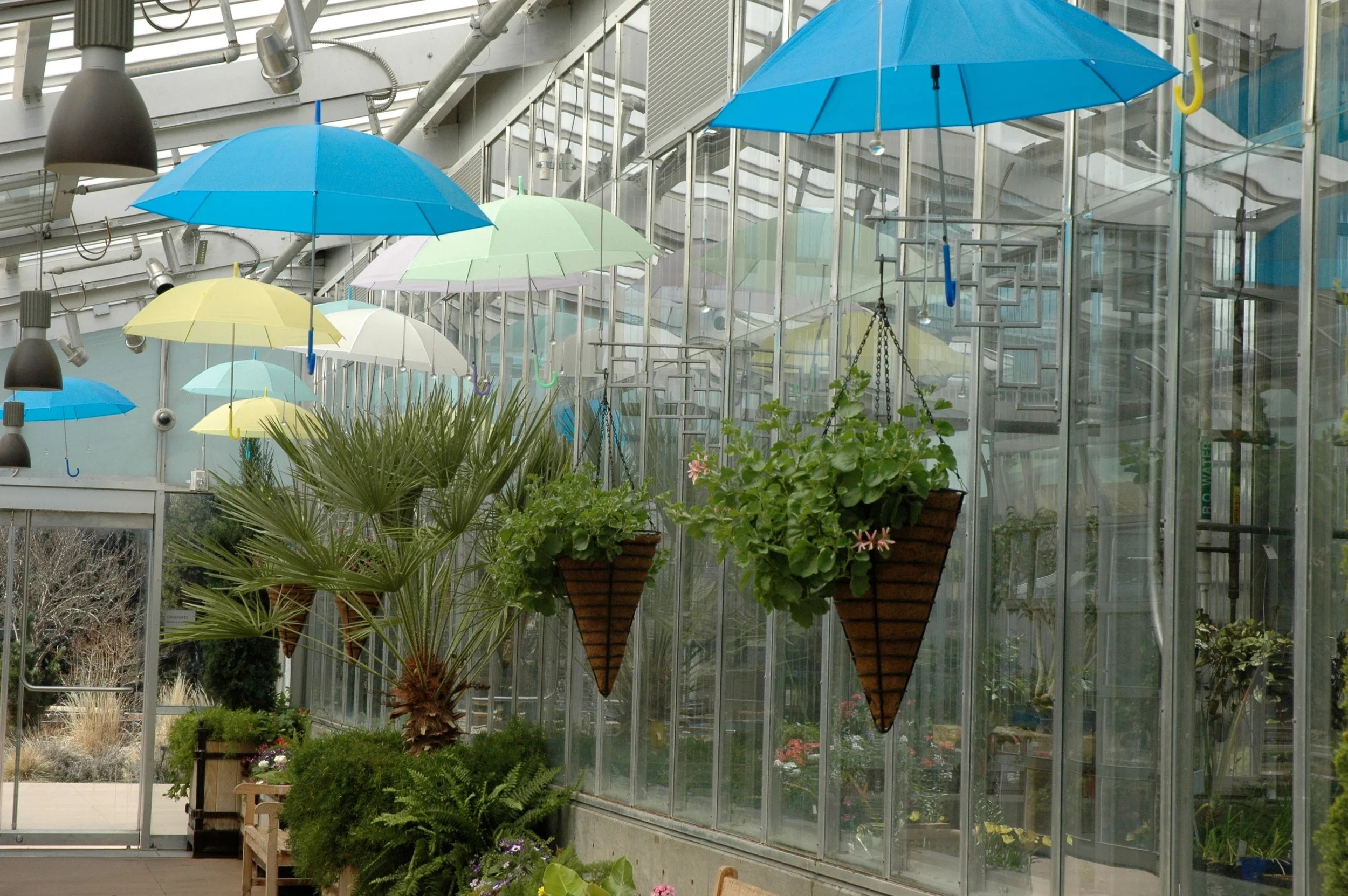 garden-umbrellas.jpg