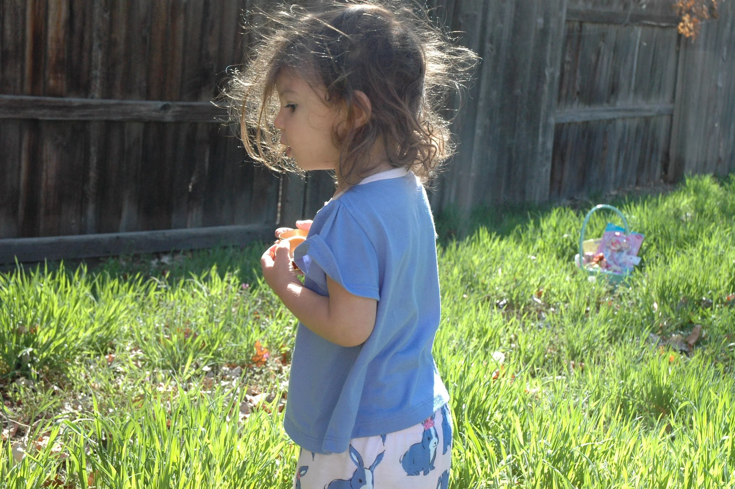 easter-search-1.jpg