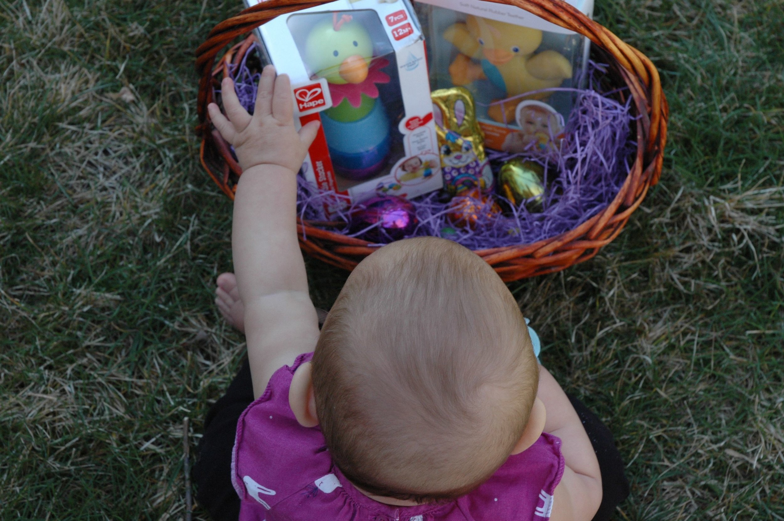 easter-search-4.jpg