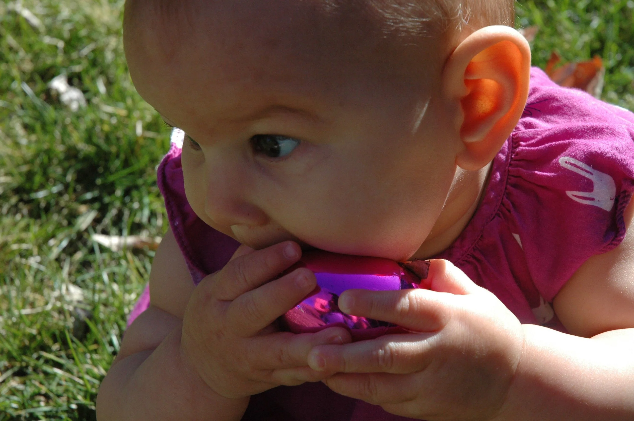 easter-arlo-egg.jpg