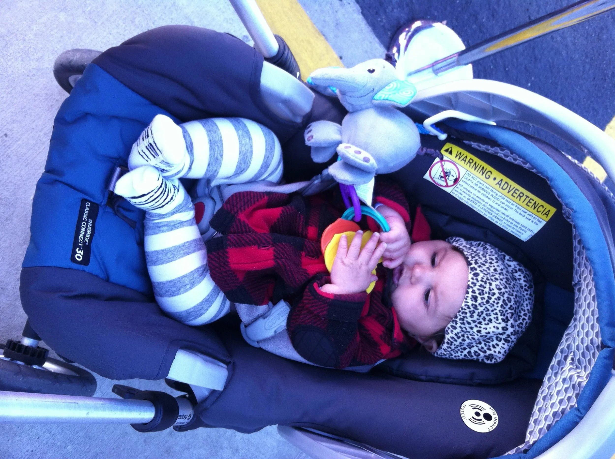 Remy-boys-1.5.jpg