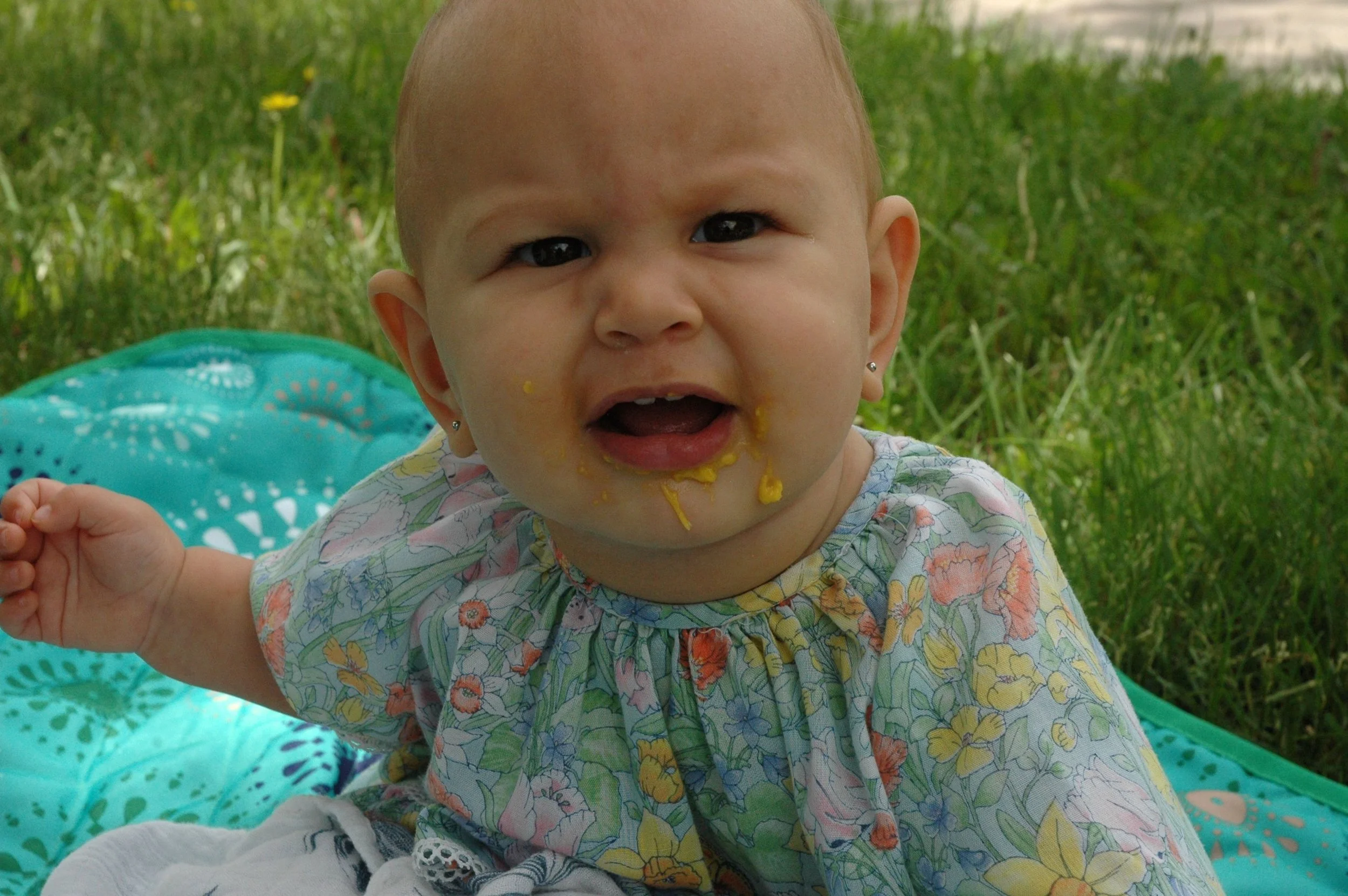 isla-mango-arlo.jpg