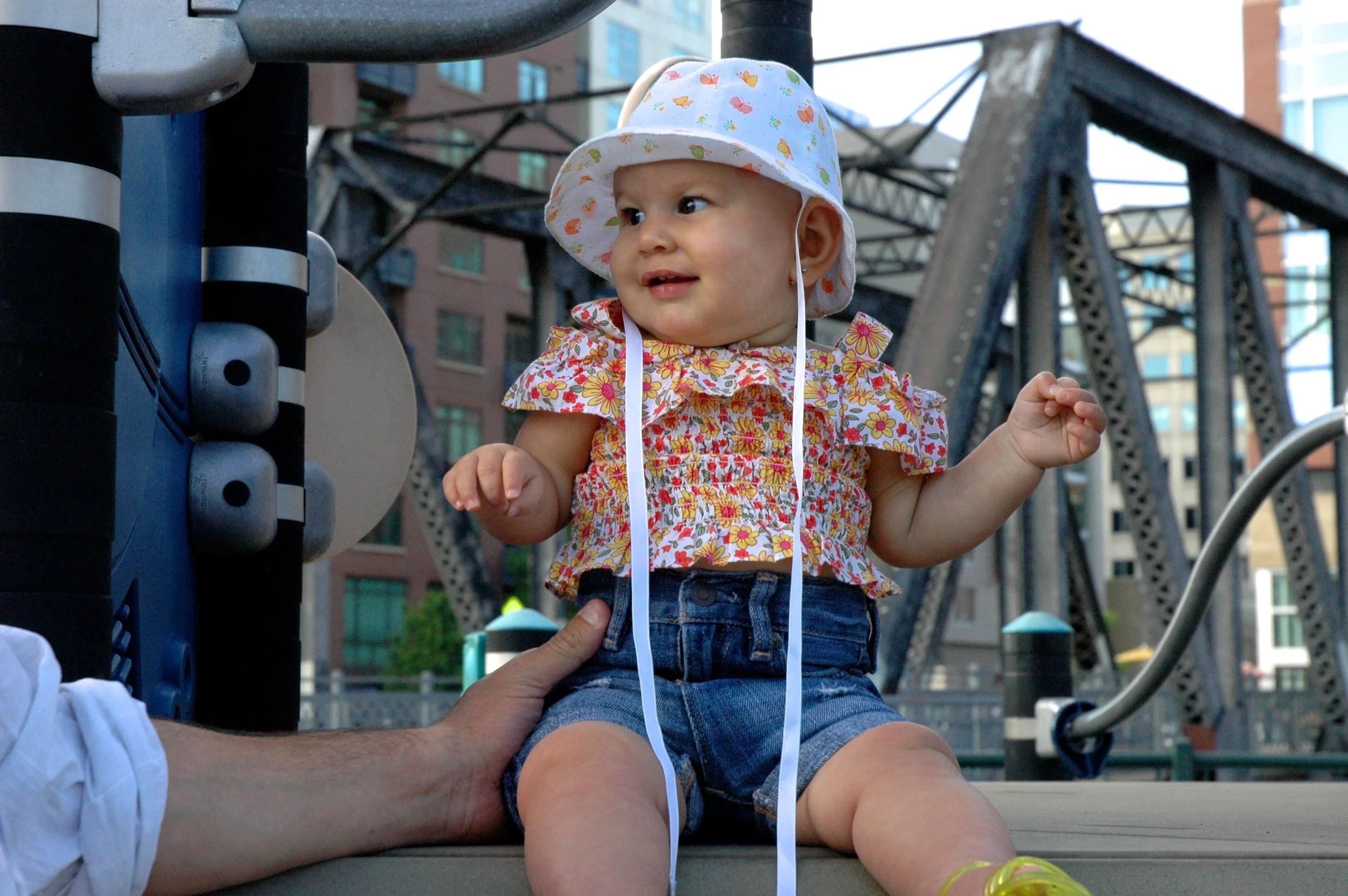 park-arlo-bridge.jpg