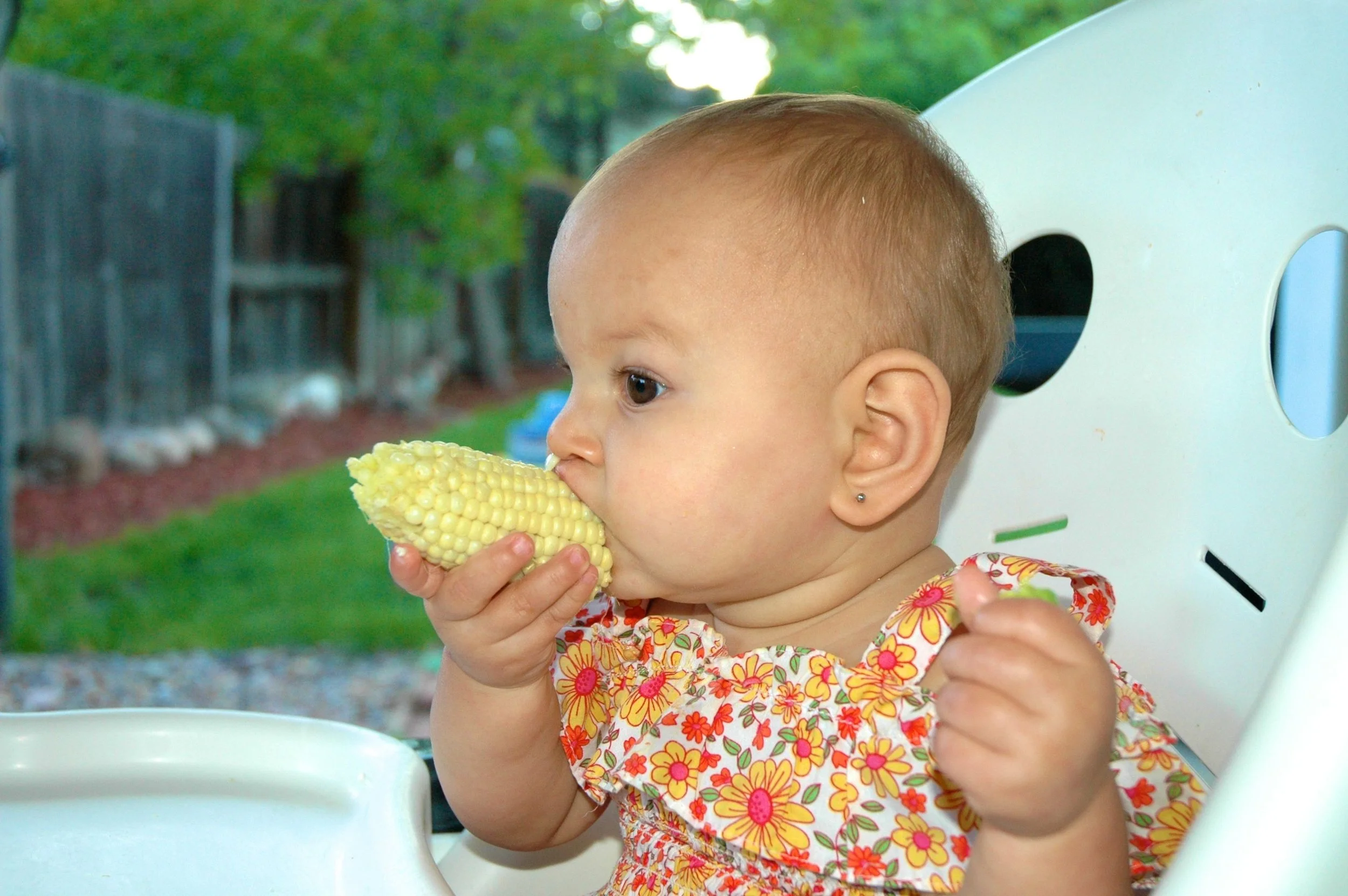 arlo-corn.jpg