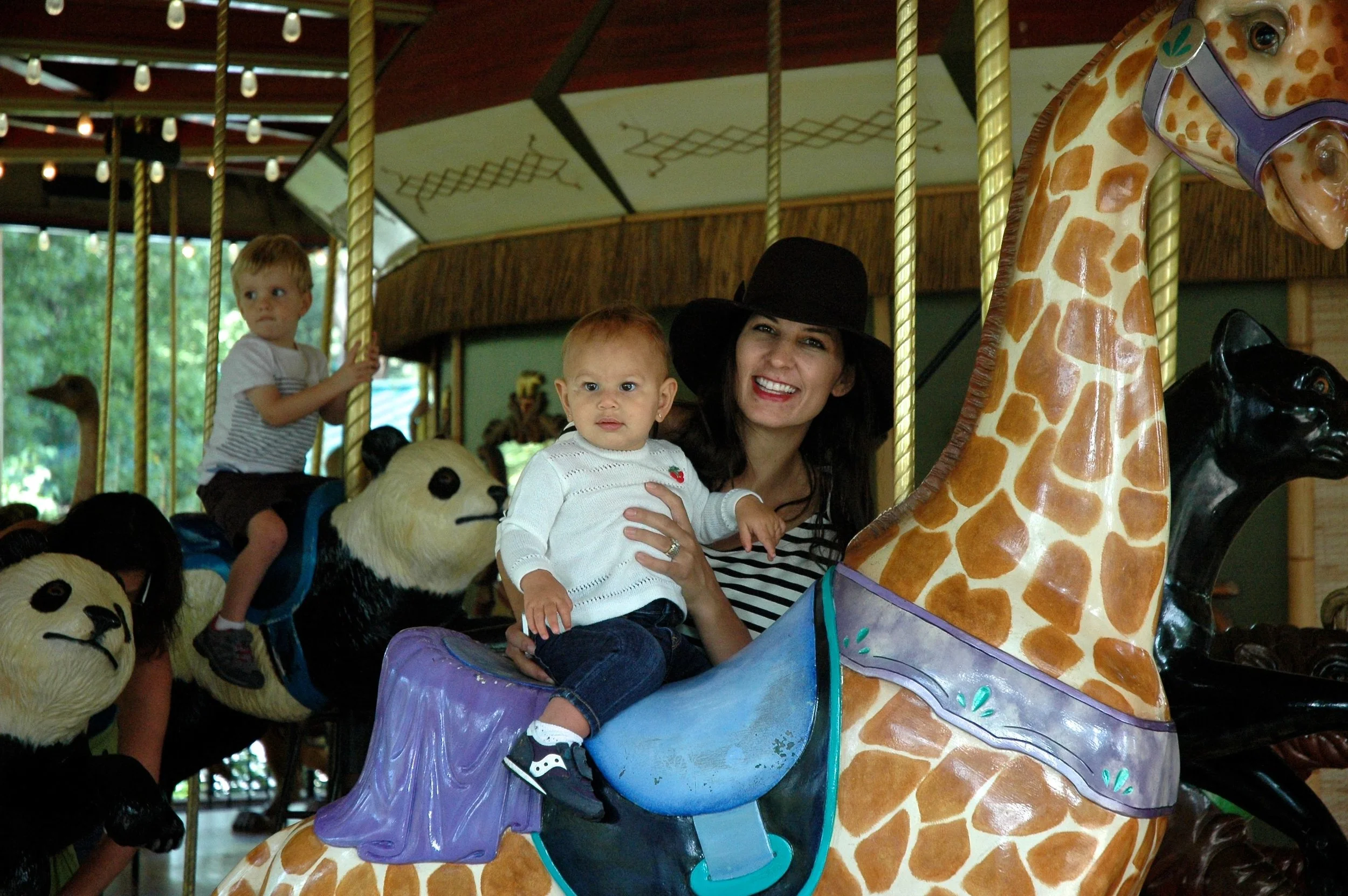 z-arlo-carousel-2.jpg