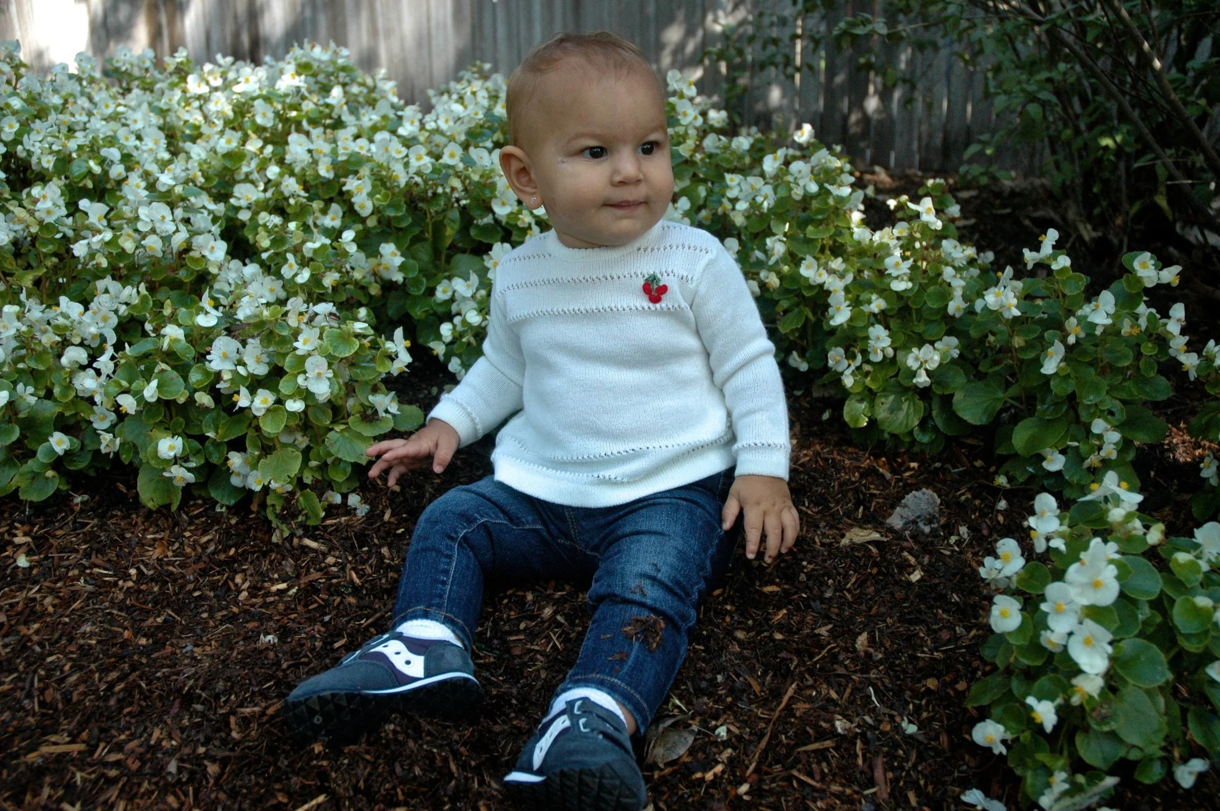 z-arlo-sweater.jpg