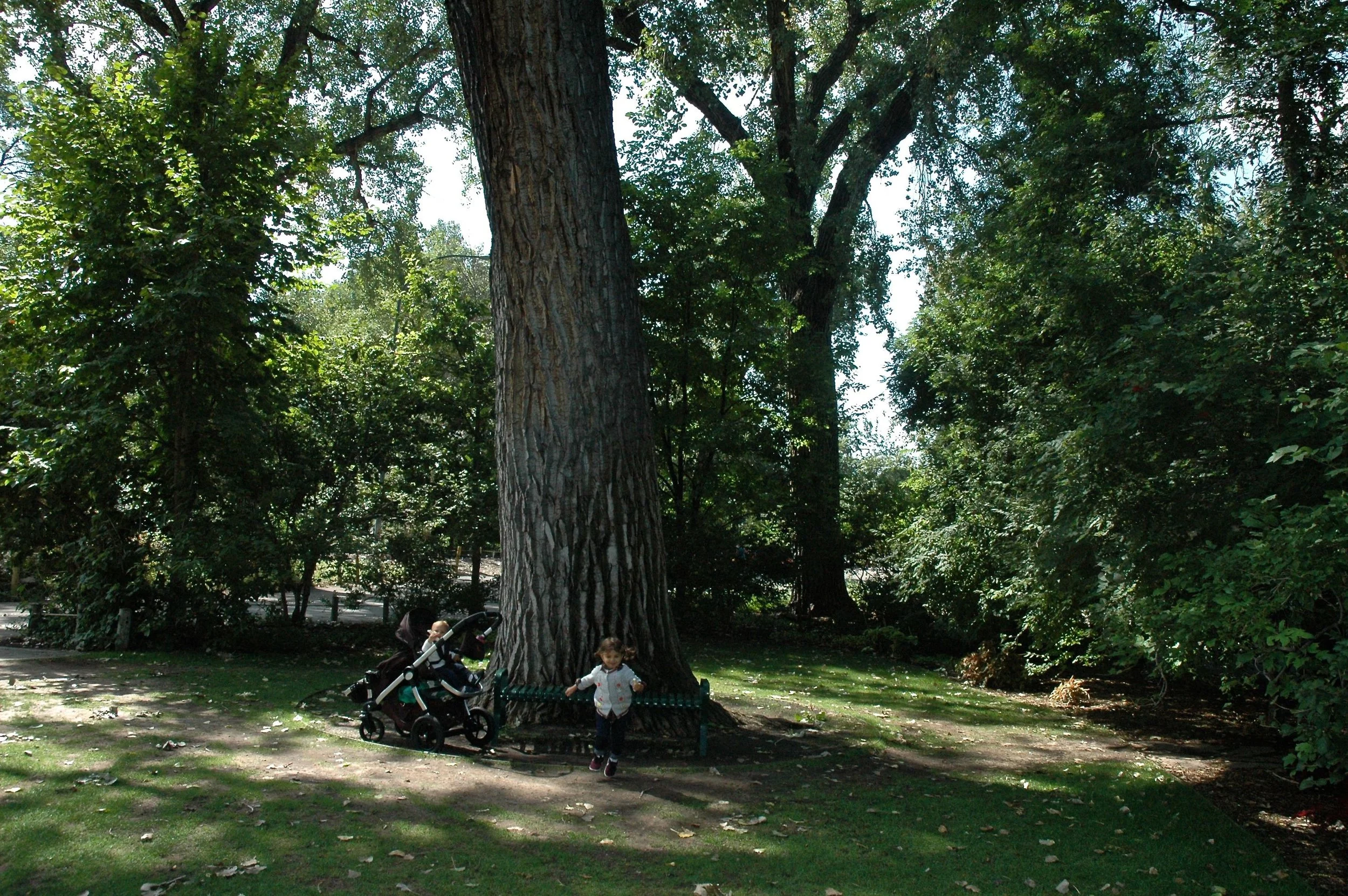 z-park.jpg