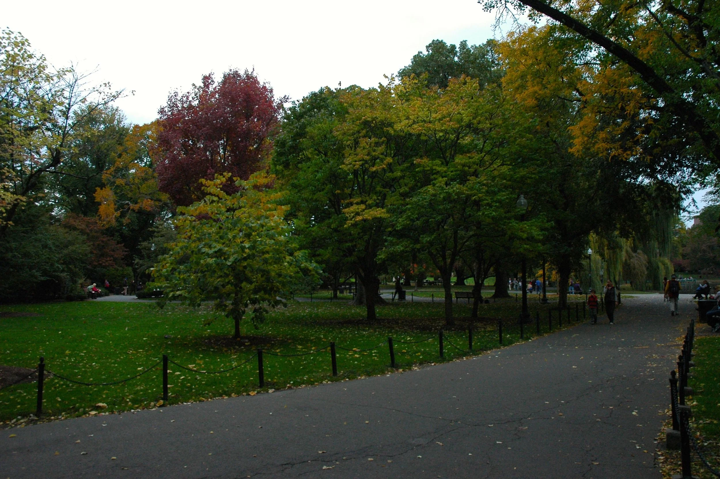 n46.jpg