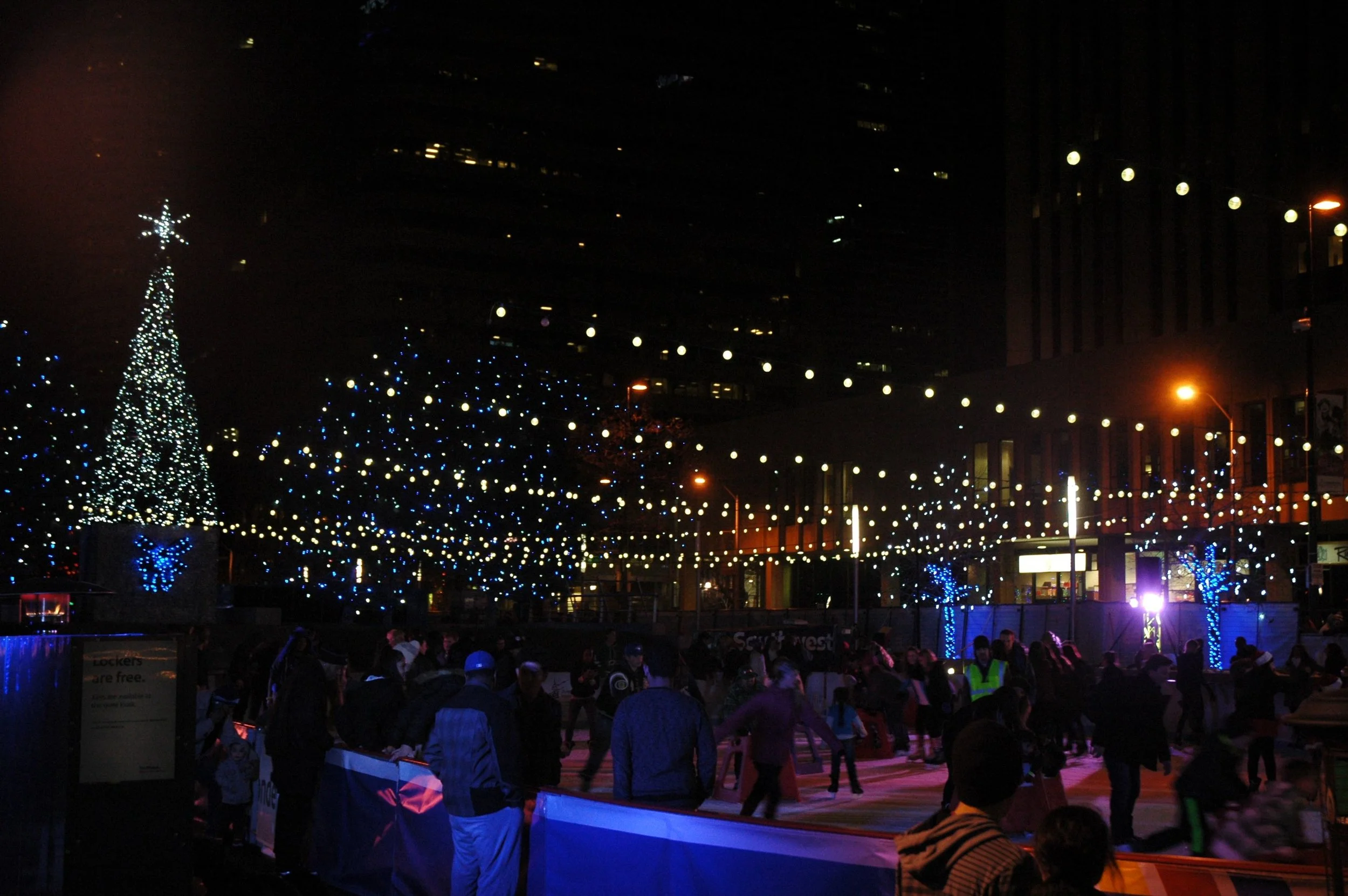 p10.jpg