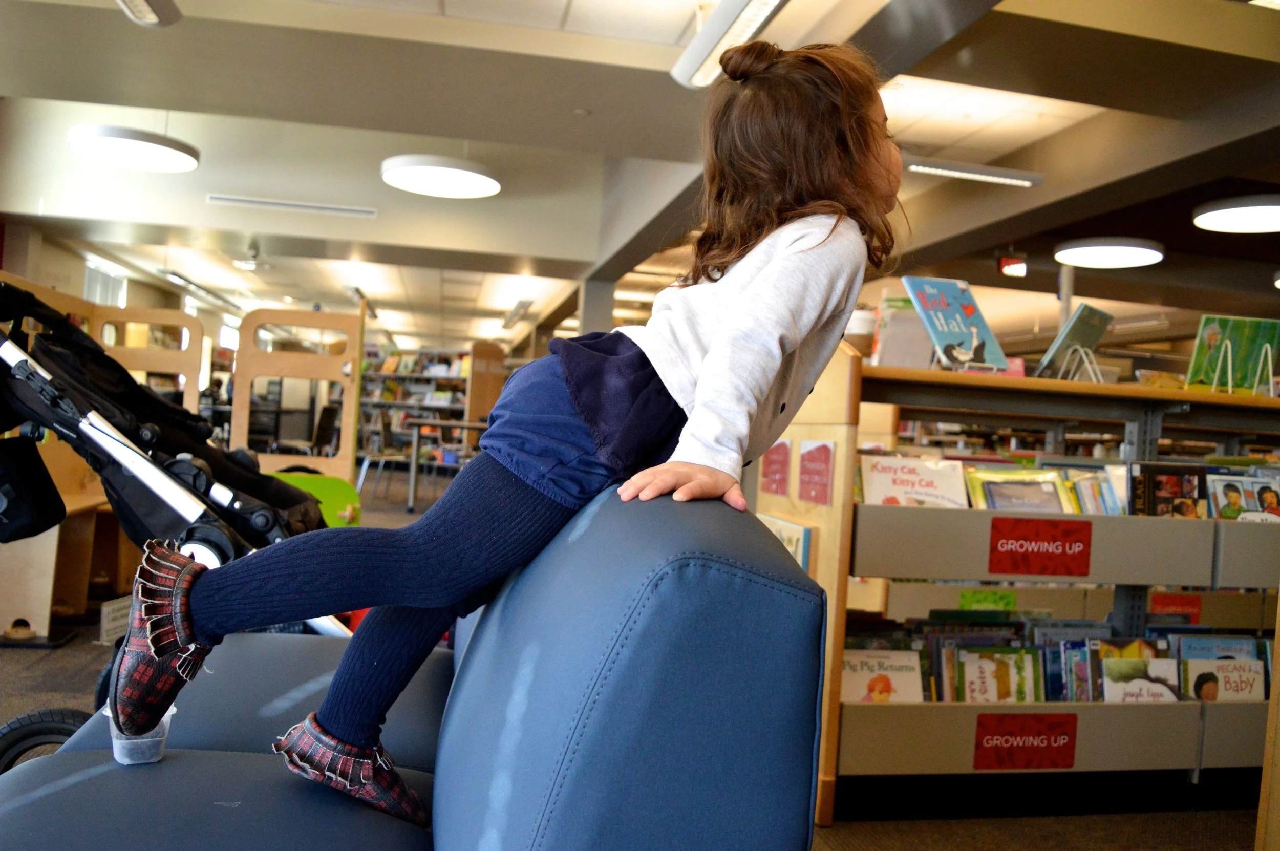library-18.jpg