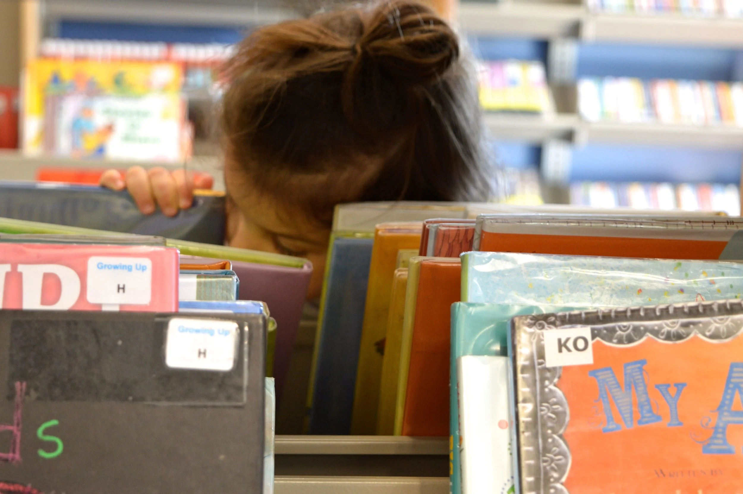 library-20.jpg