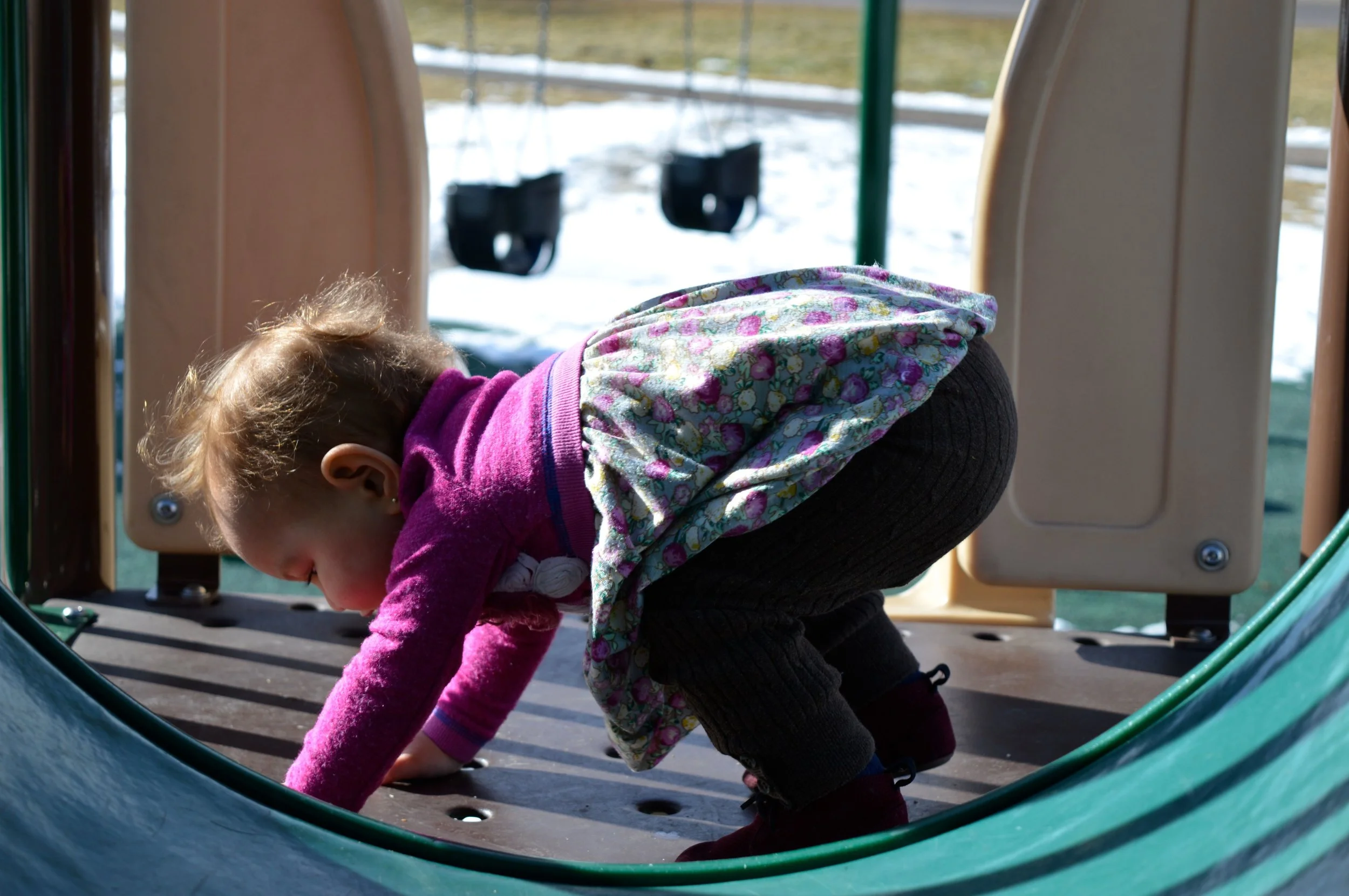 january-park-1.jpg