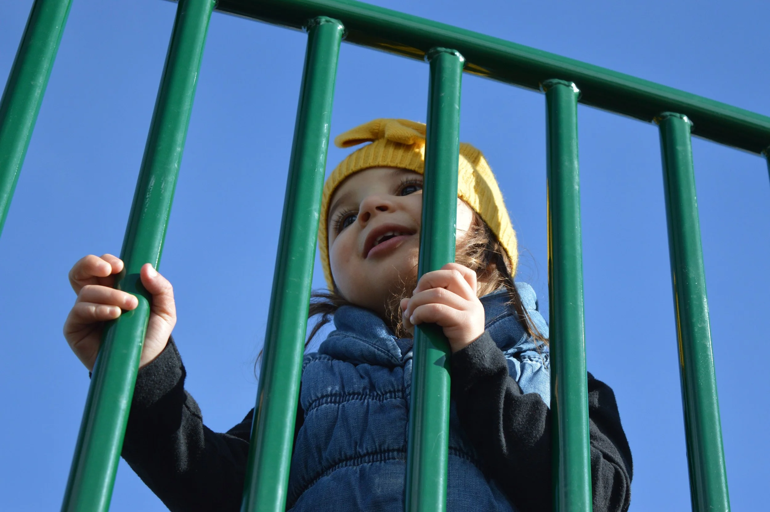 january-park-bridge.jpg