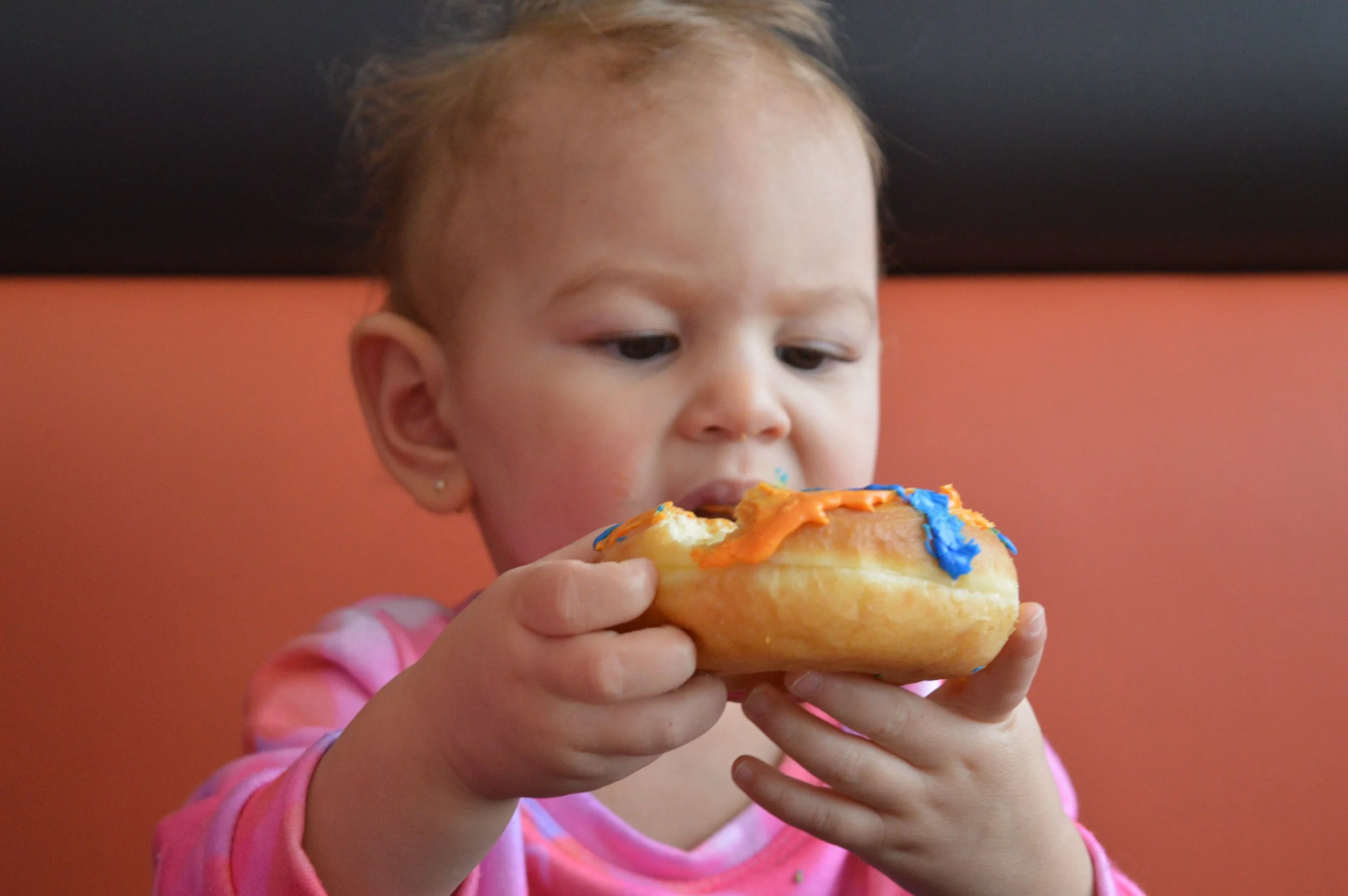 donut-1.jpg