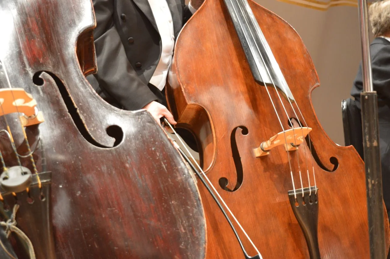 tiny-tots-orchestra-10.jpg
