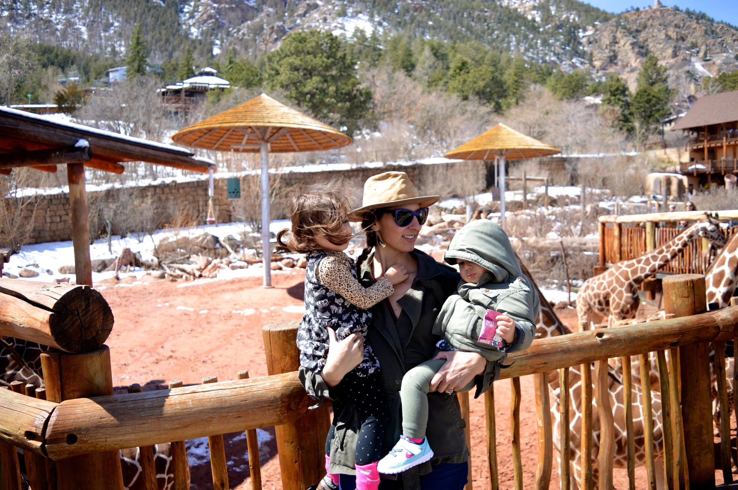 cheyenne-mountain-zoo-giraffe-5.jpg