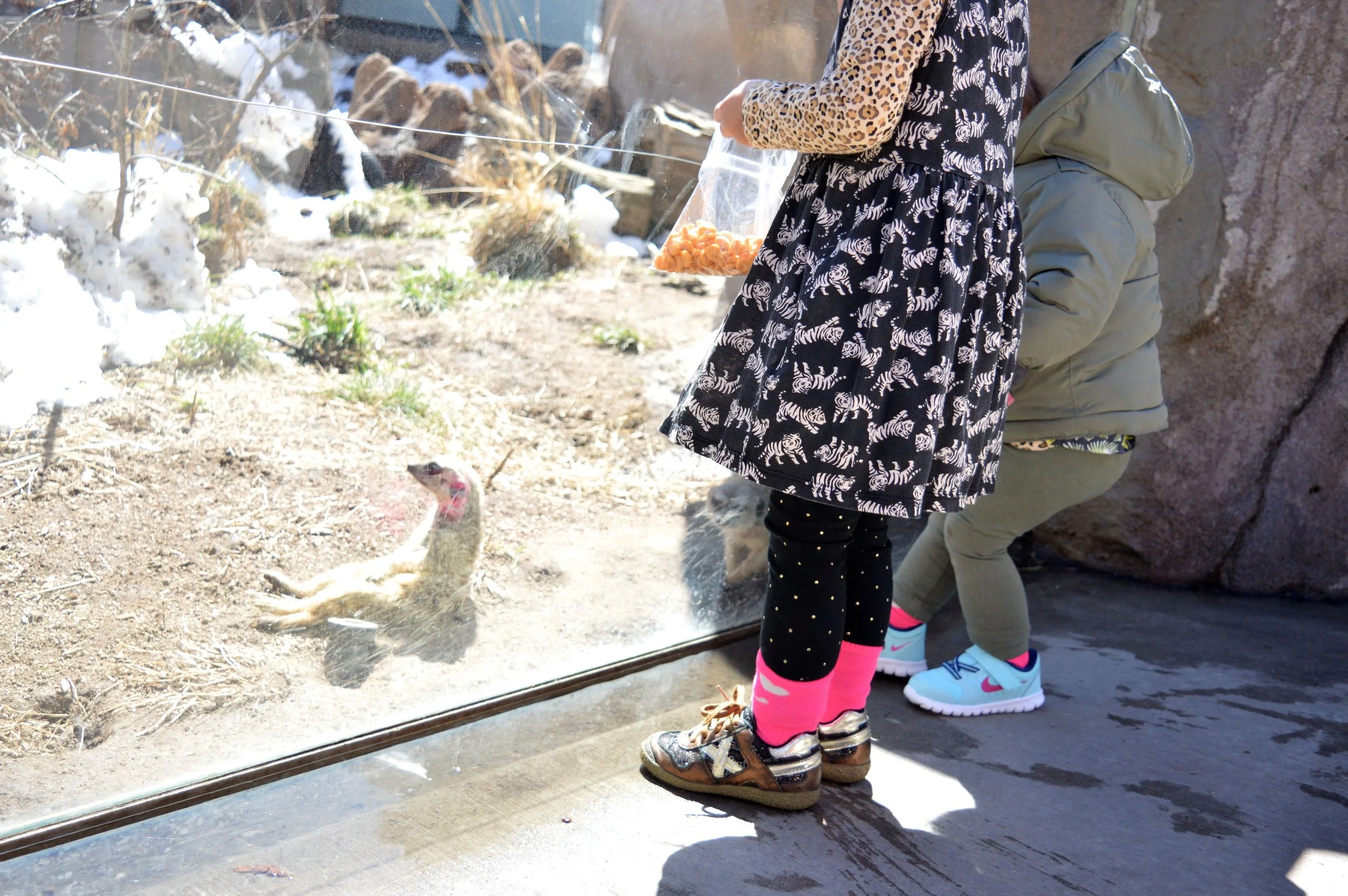 cheyenne-mountain-zoo-makeet.jpg