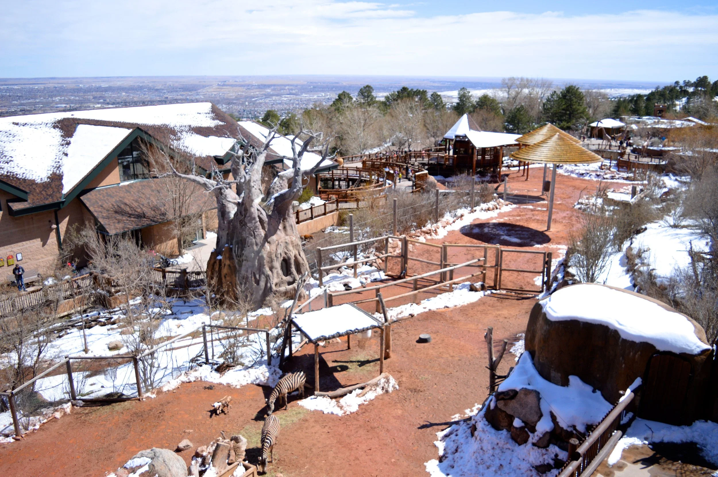 cheyenne-mountain-zoo-view.jpg