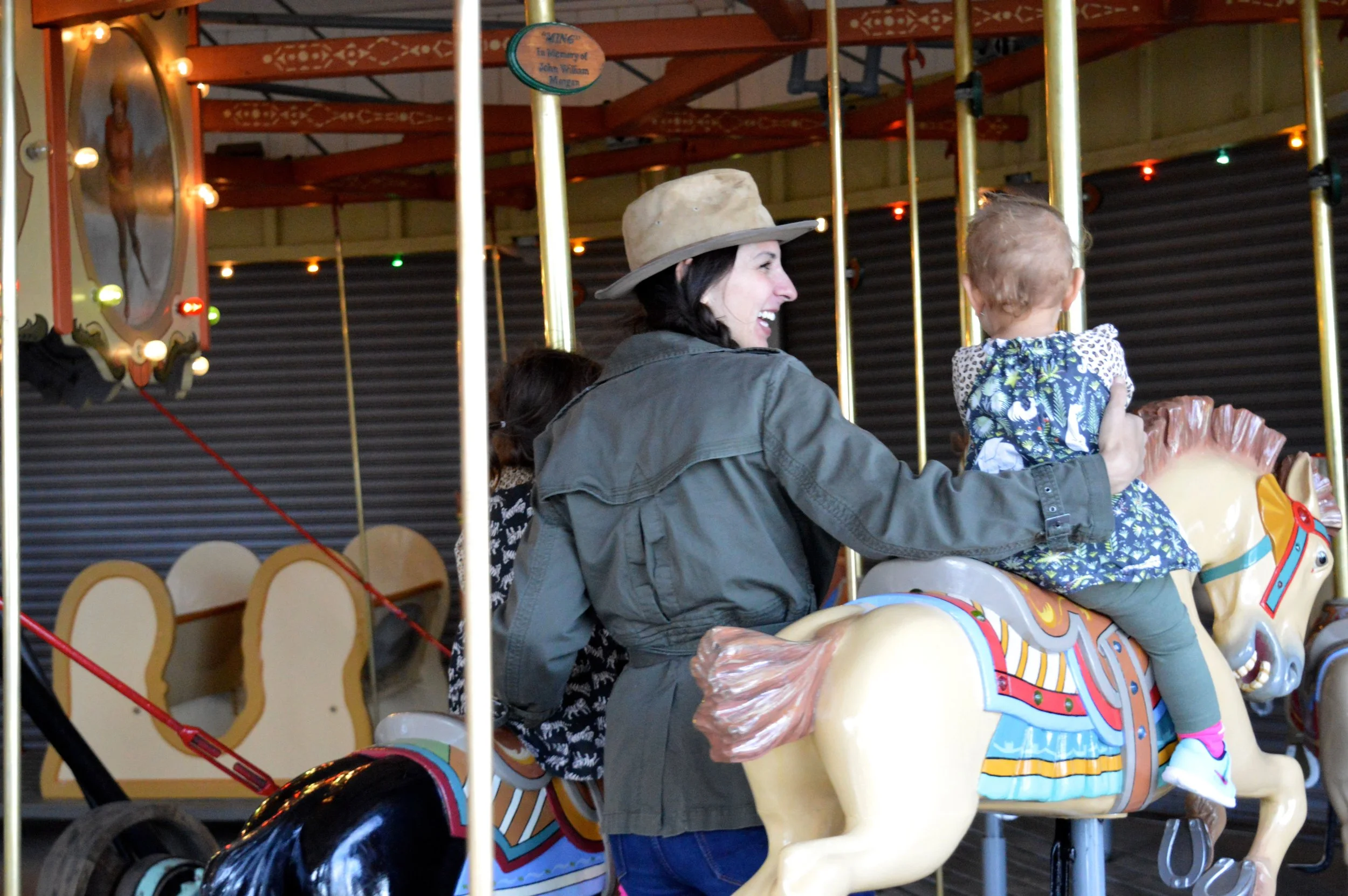 cheyenne-mountain-zoo-carousel-4.jpg