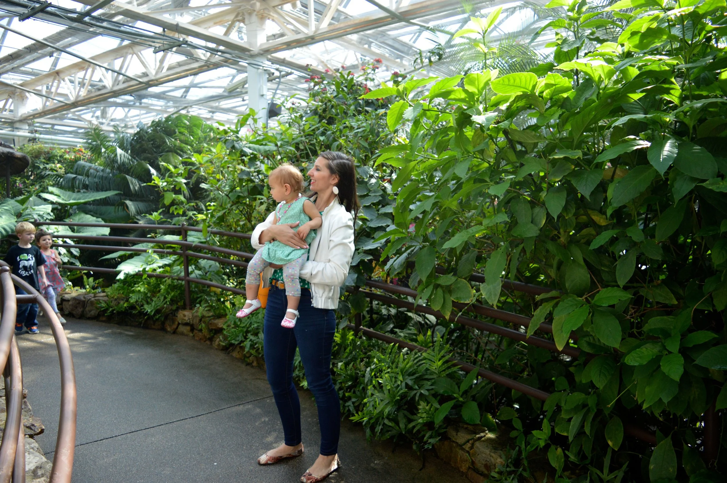 butterfly-pavilion-13.jpg