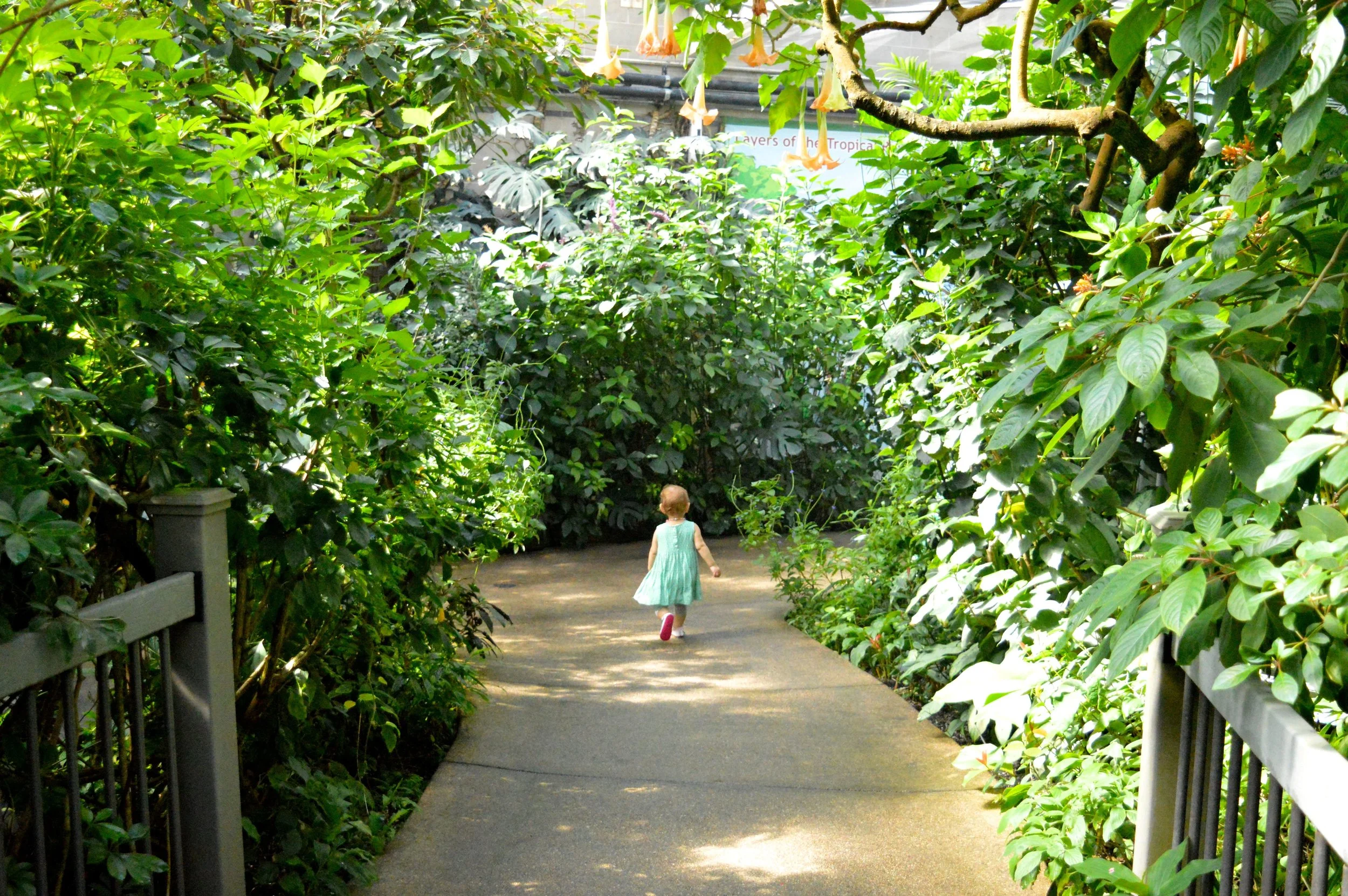 butterfly-pavilion-34.jpg