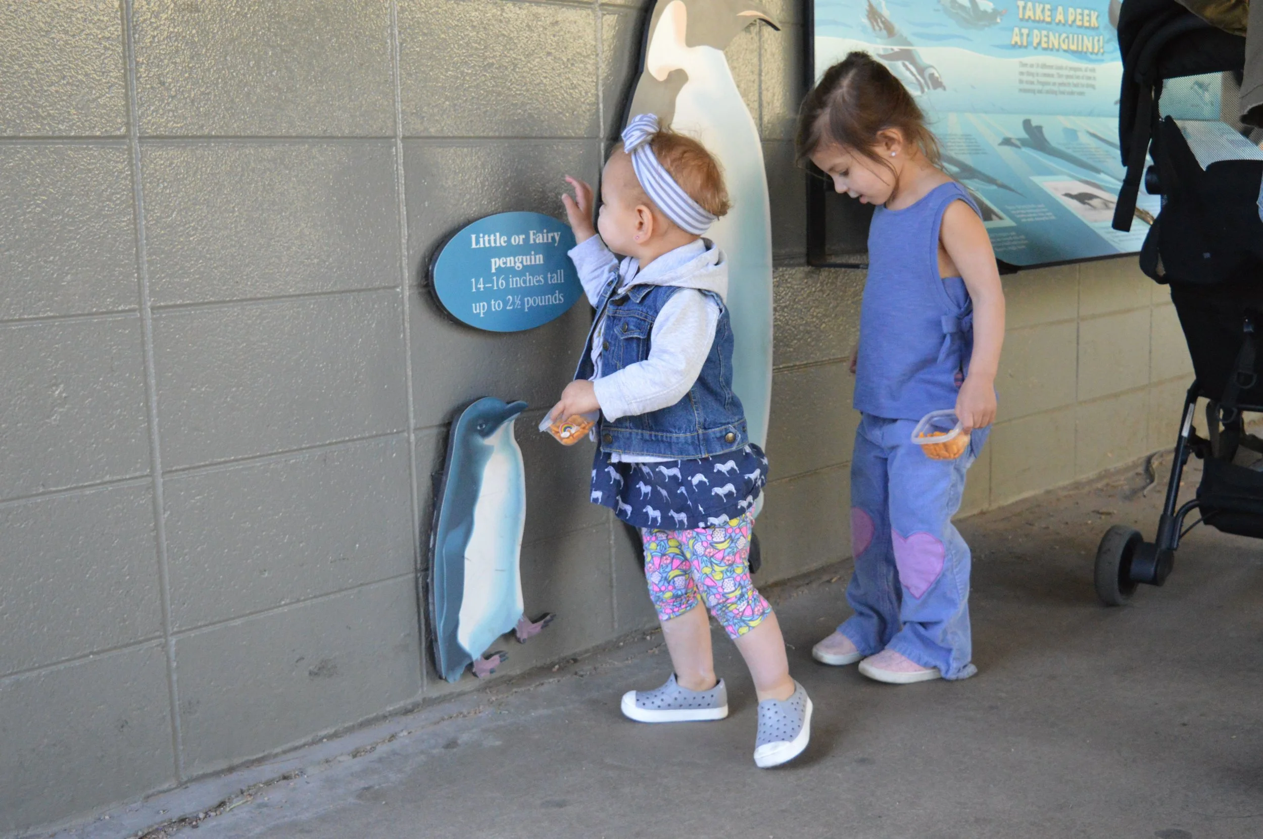 denver-zoo-6.jpg