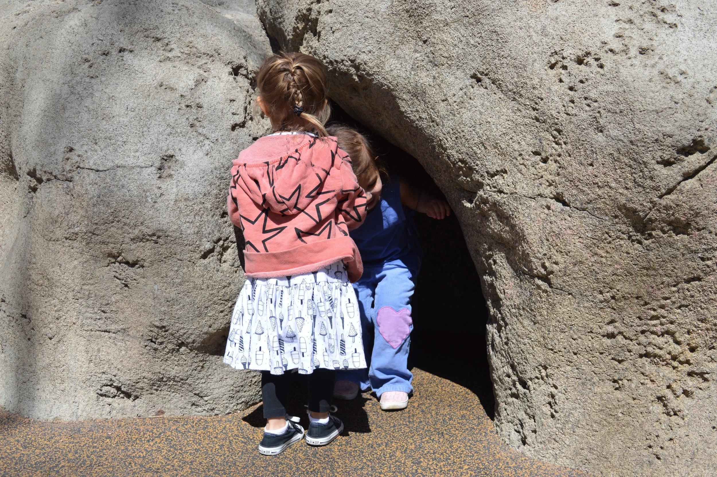 denver-zoo-4-1.jpg