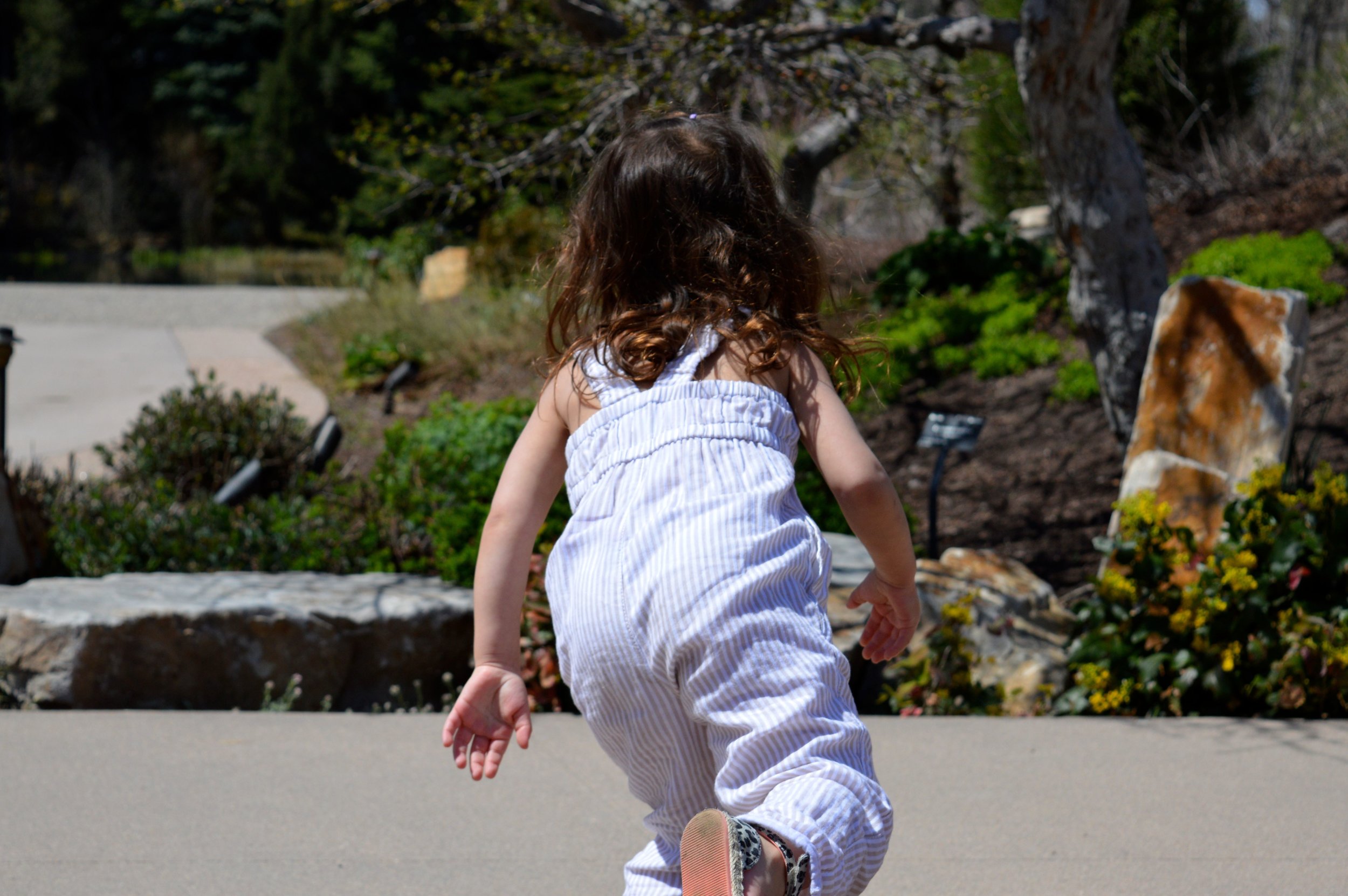 denver-botanic-gardens-April-13-3.jpg